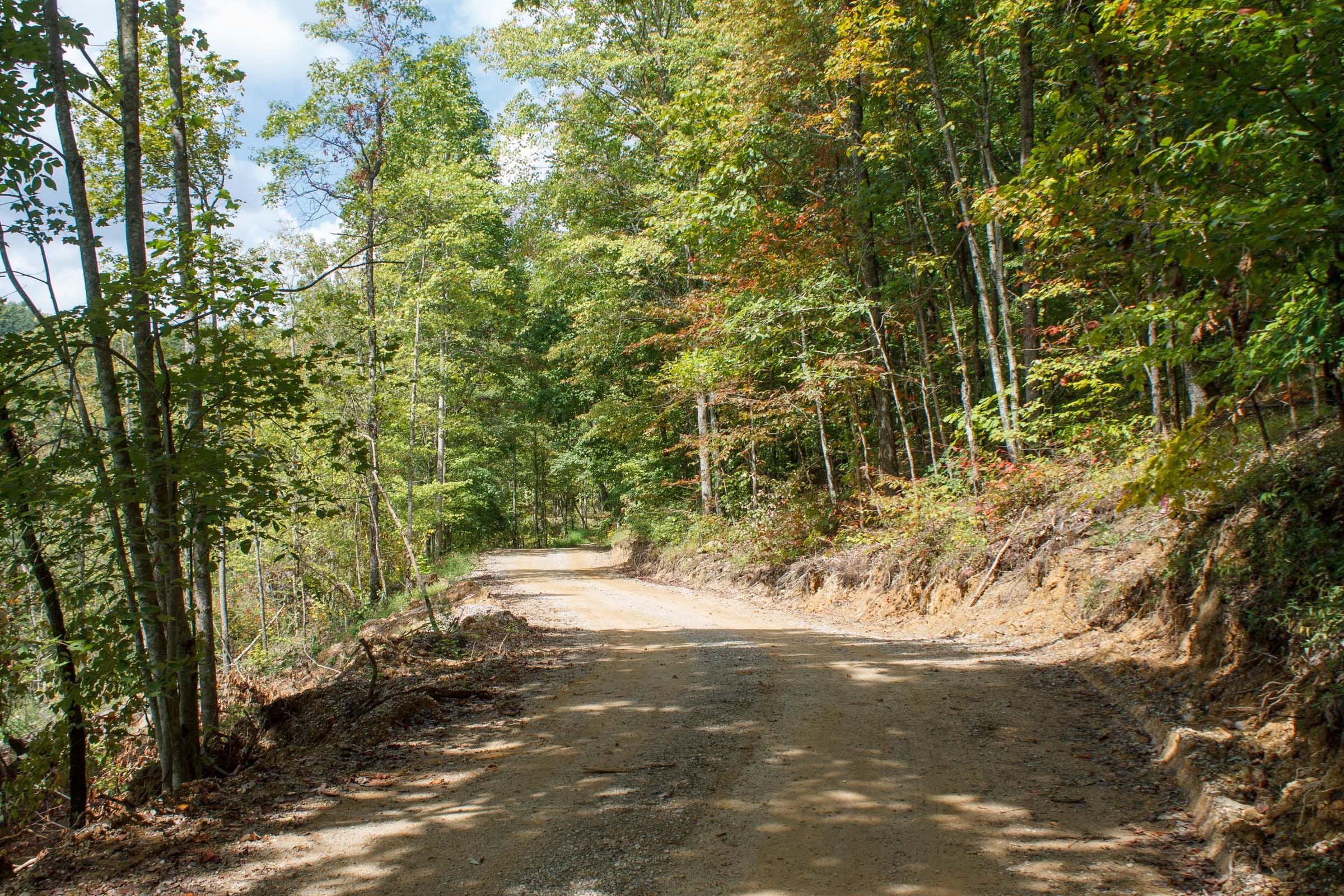 Wounded Oak Tract 14 photo 1