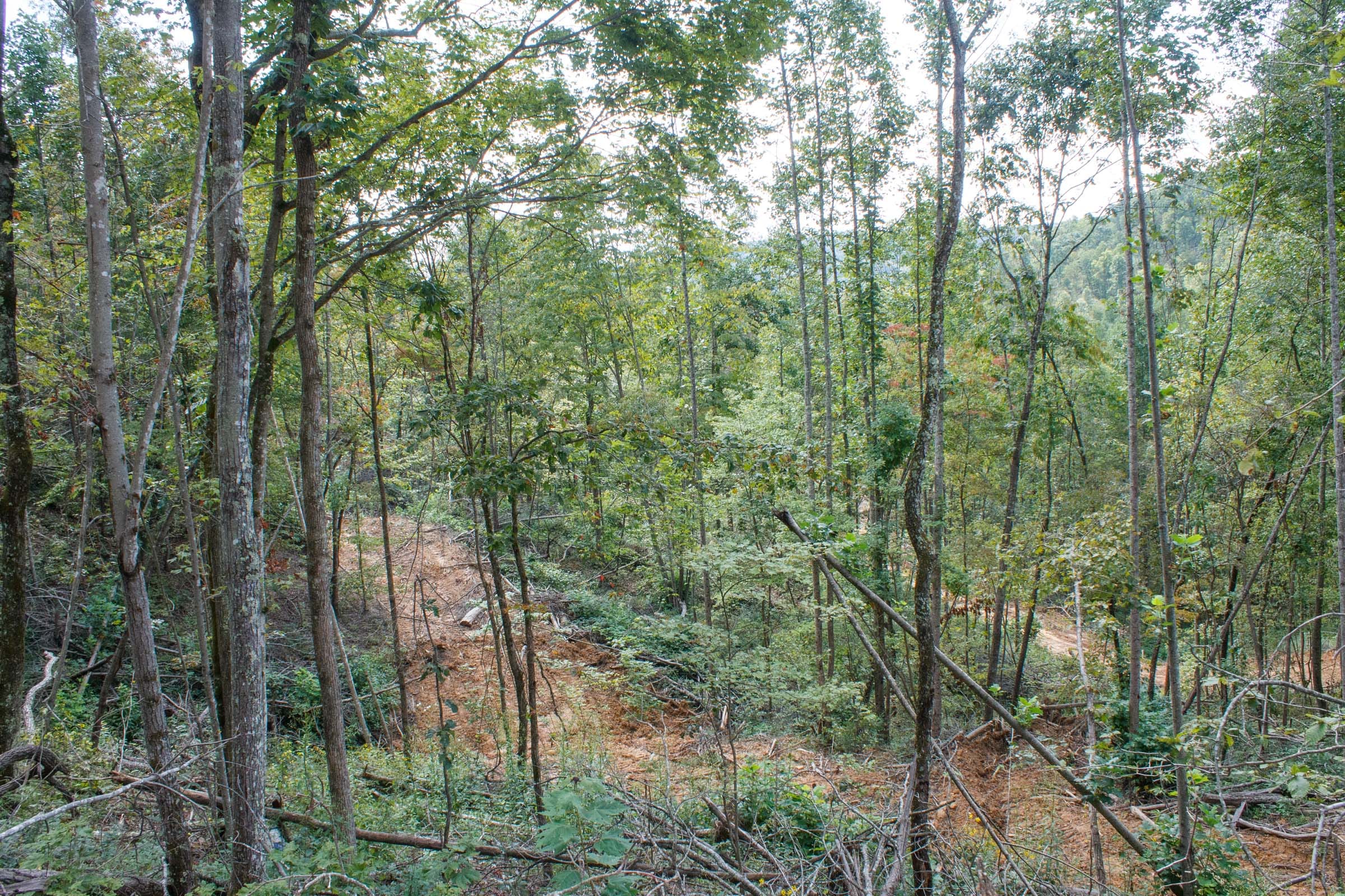 Wounded Oak Tract 14 photo 6