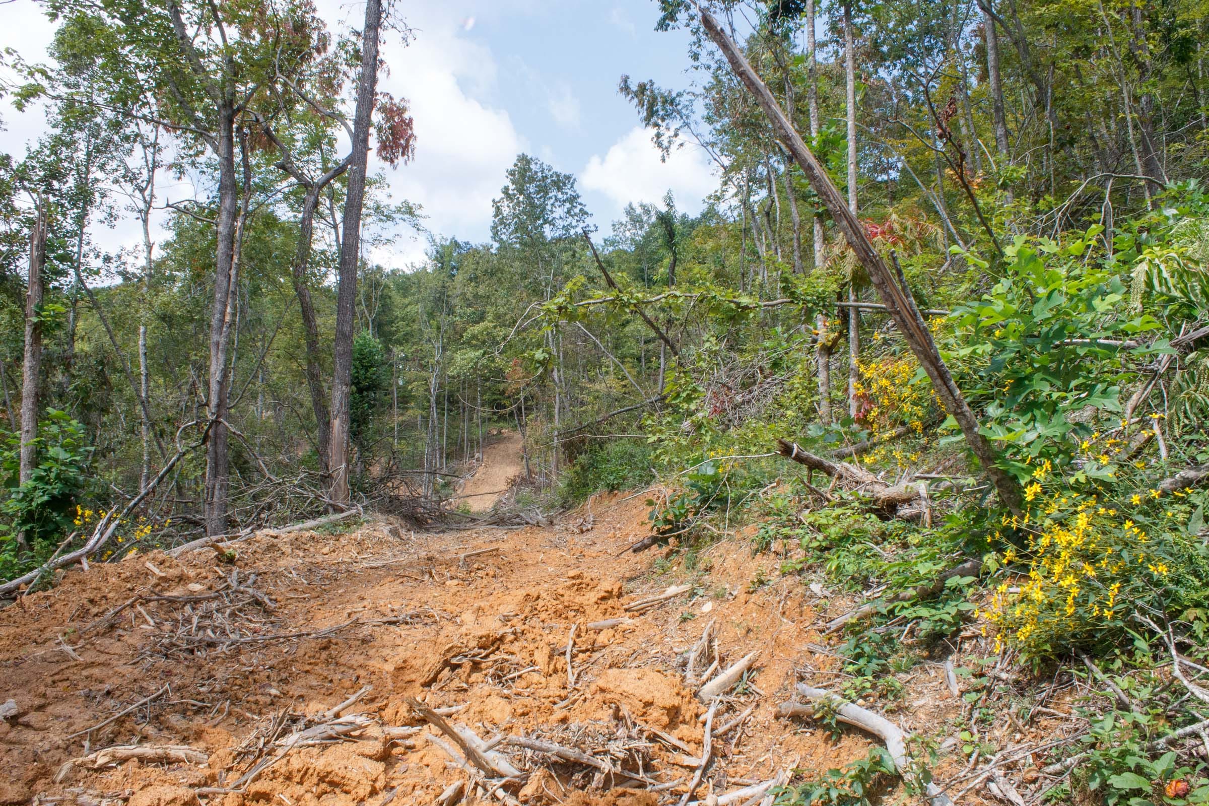Wounded Oak Tract 14 photo 7