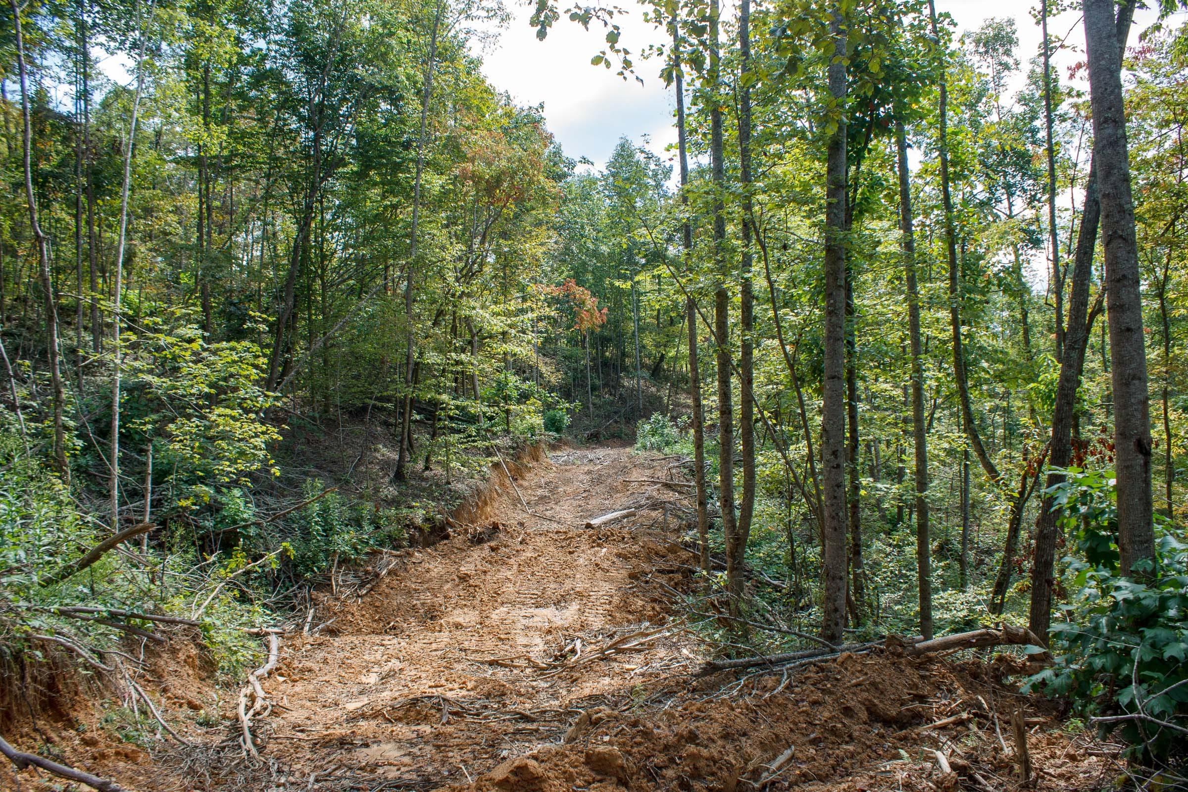 Wounded Oak Tract 14 photo 9