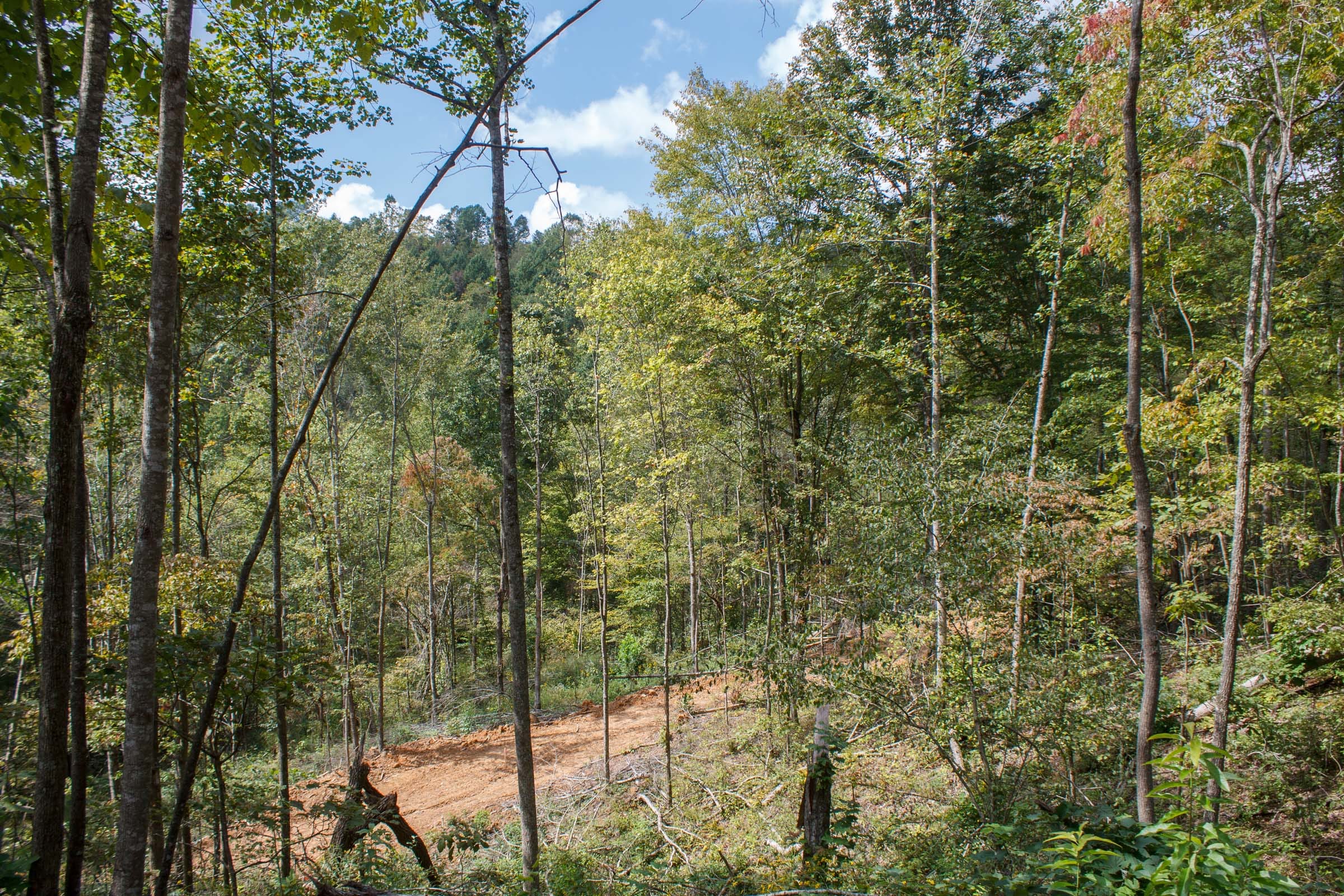 Wounded Oak Tract 14 photo 11