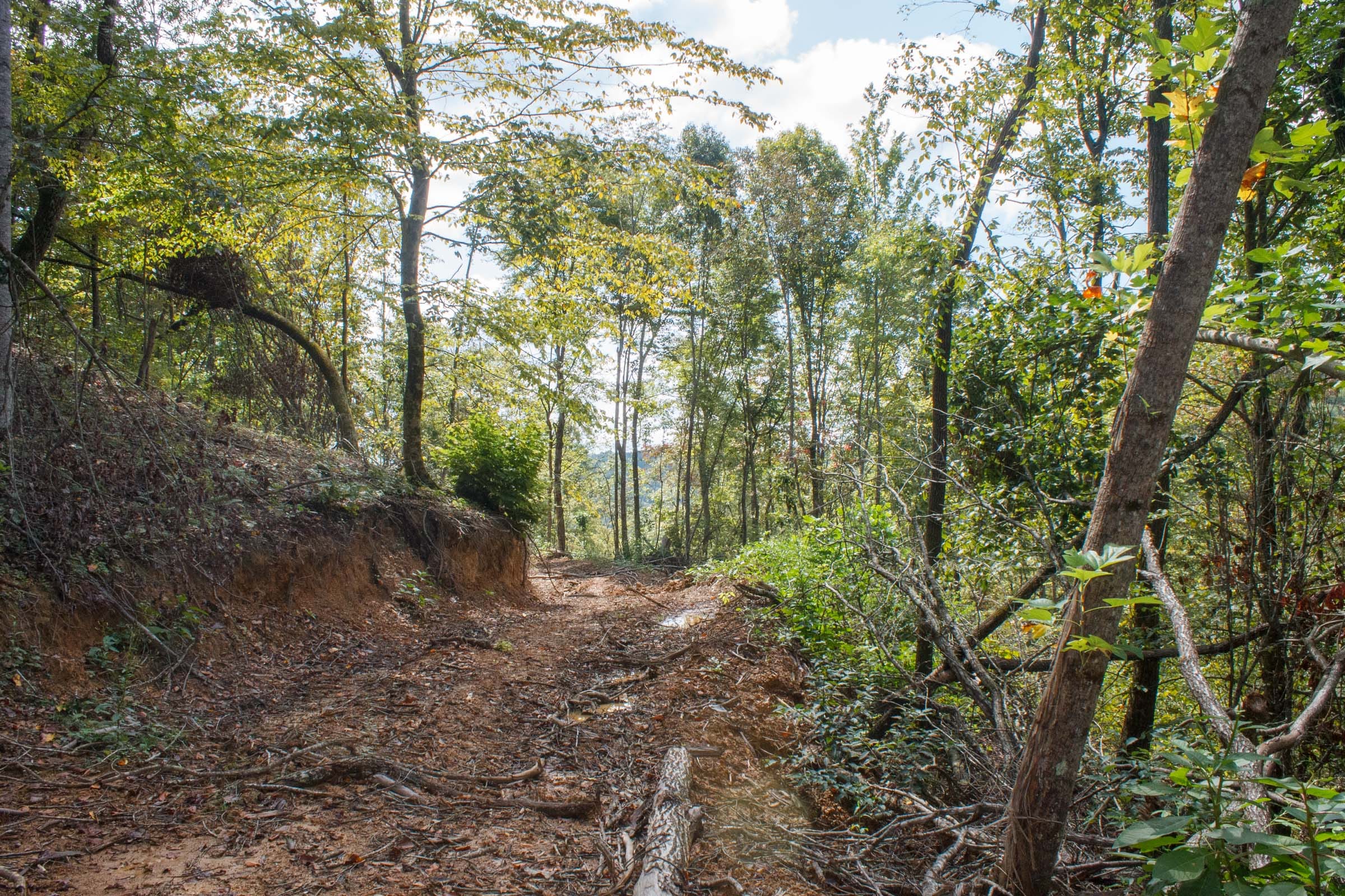 Wounded Oak Tract 14 photo 14