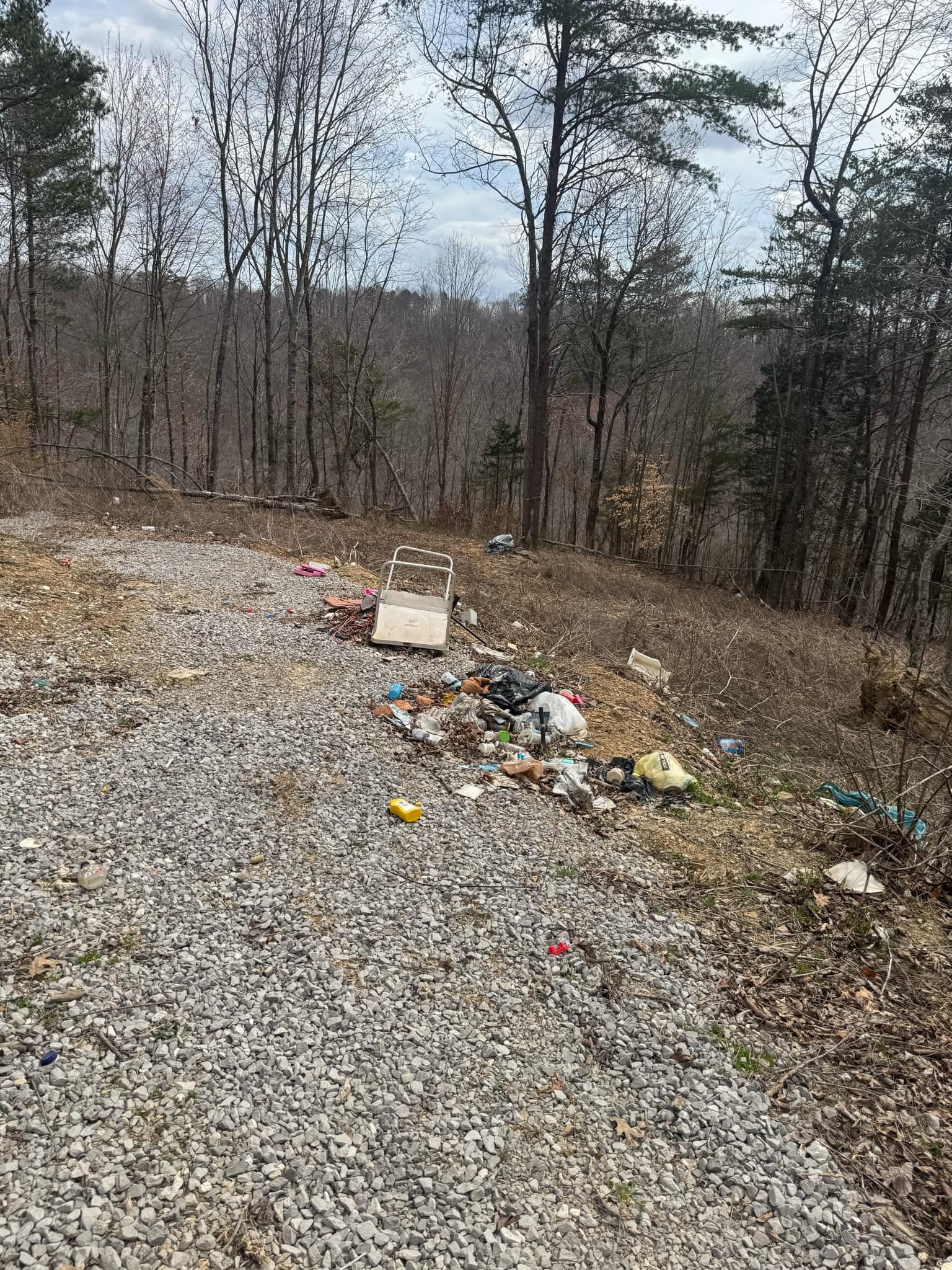 Wounded Oak Tract 14 photo 28