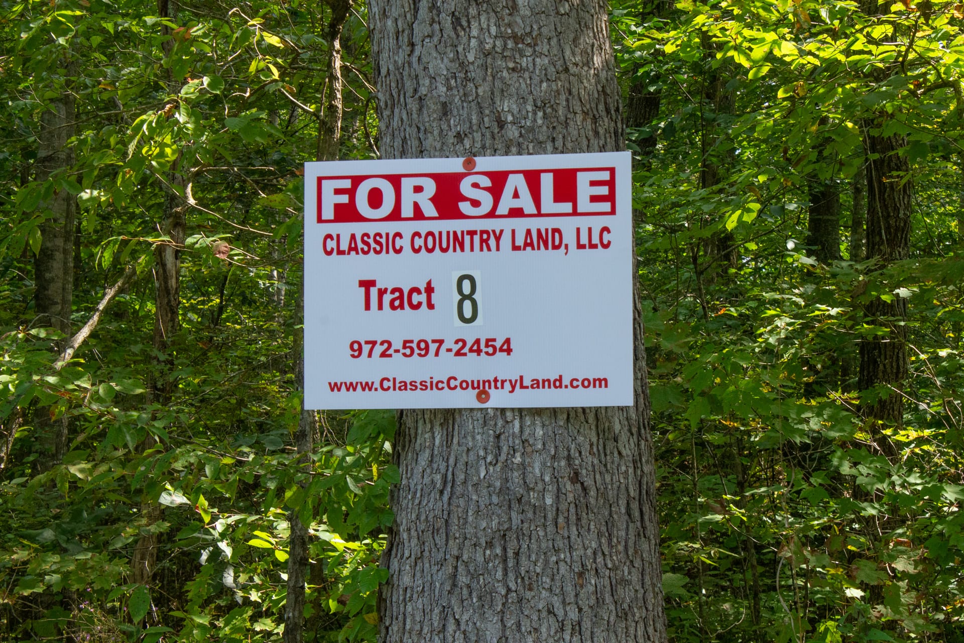 Bluegrass Ridge Tract 8 photo 1