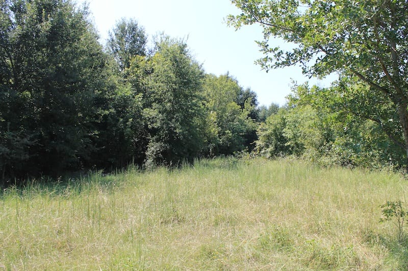 Daisy Meadows Tract 36 photo 3