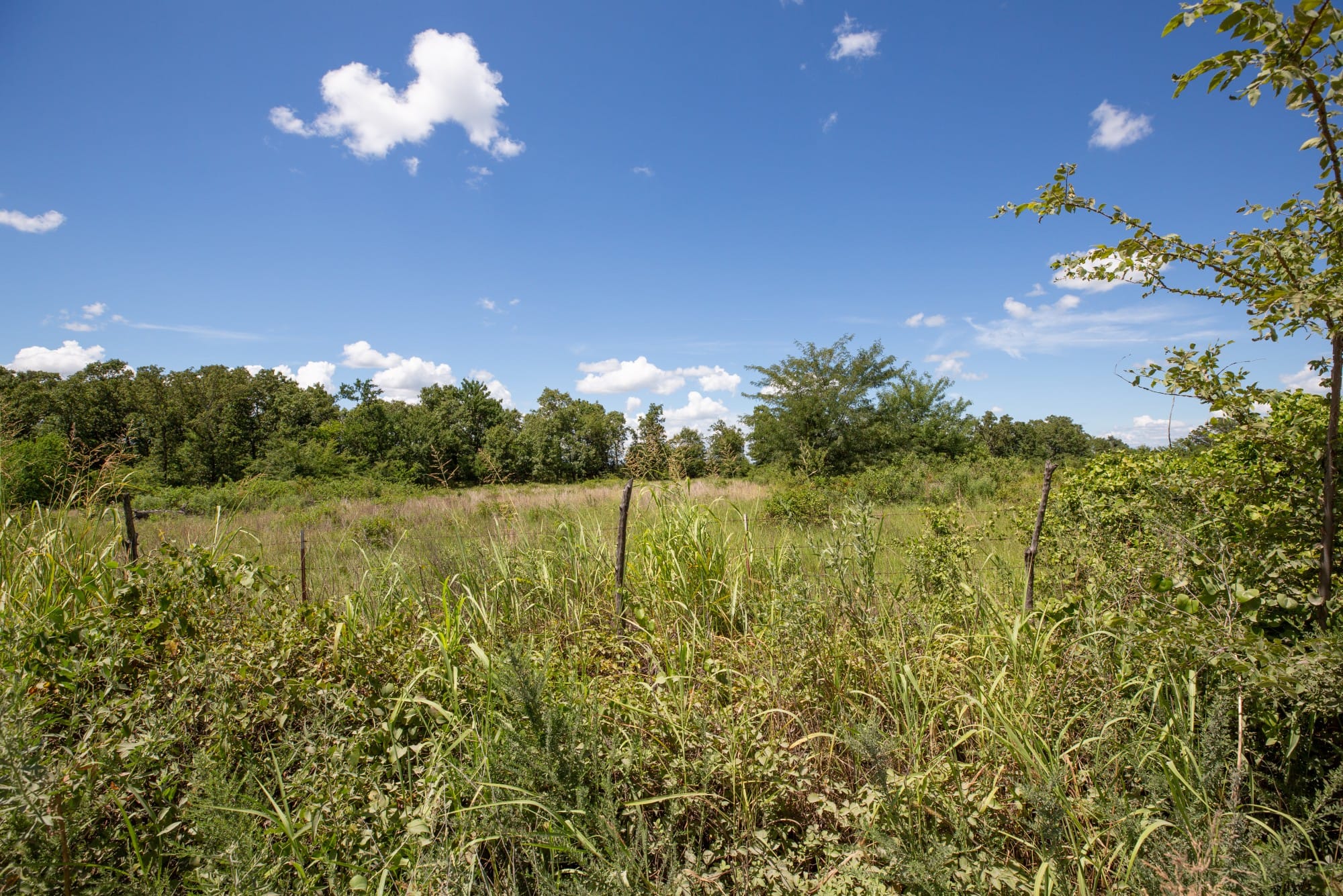 Paradise Valley Tract 23 photo 4