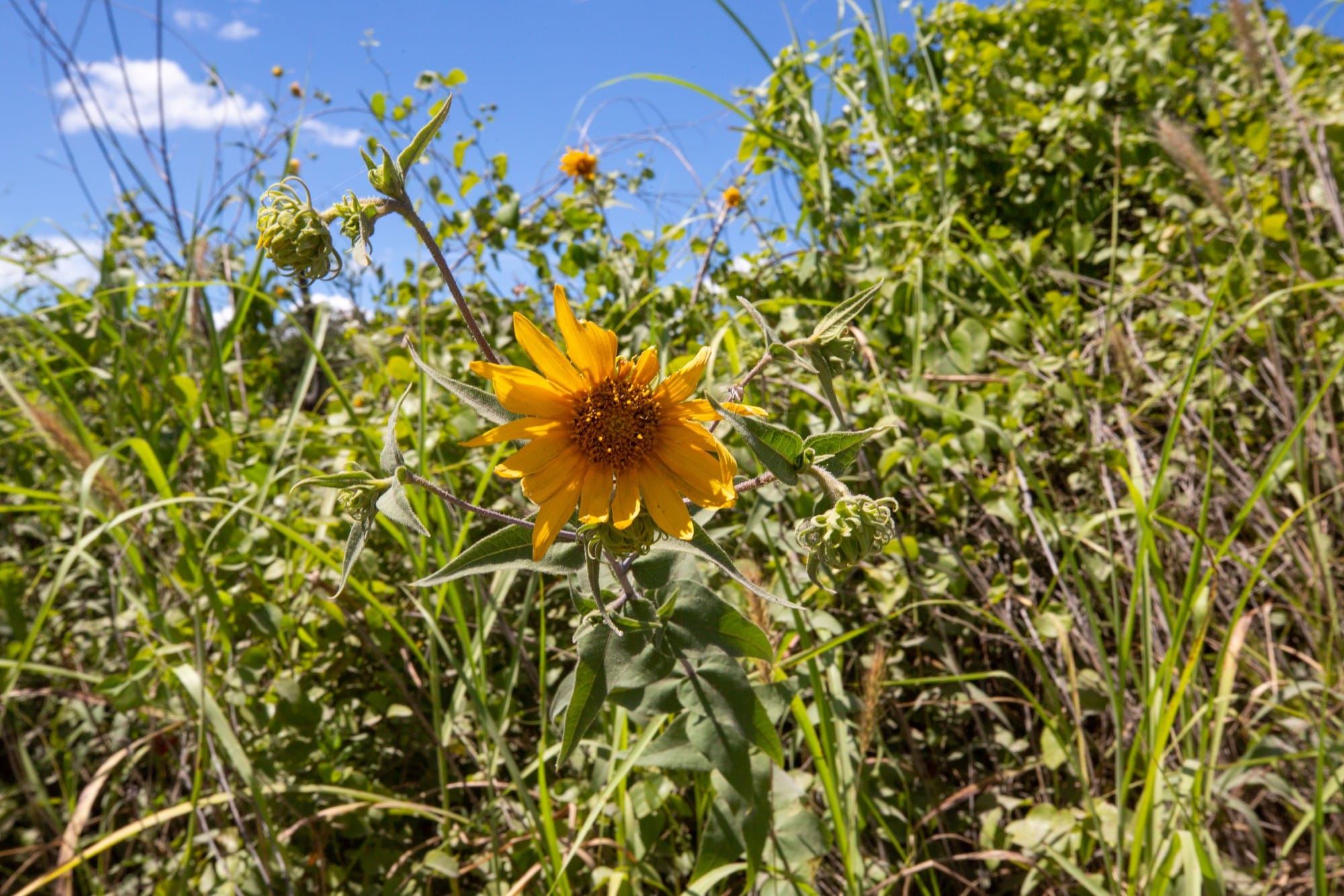 Paradise Valley Tract 23 photo 2