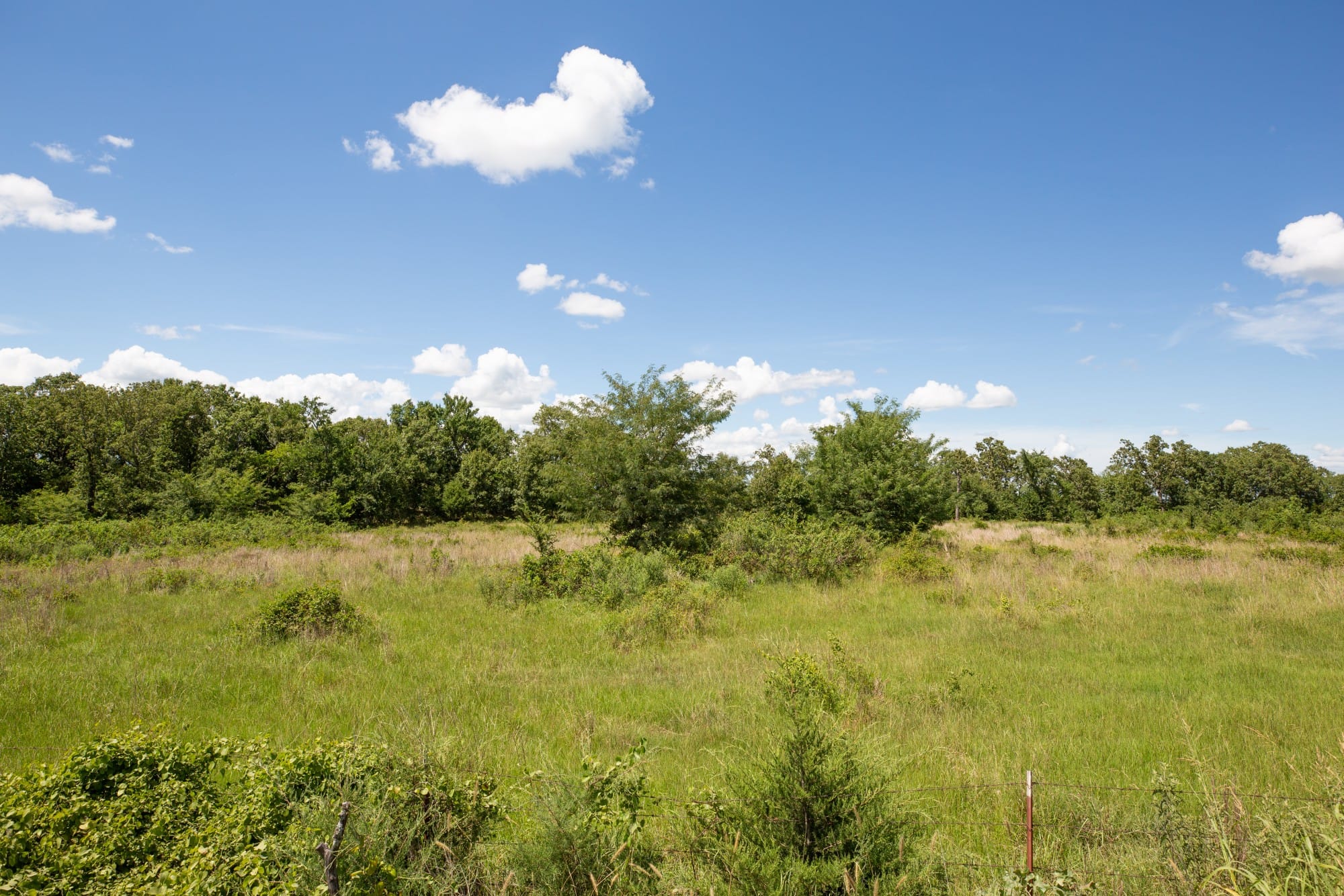 Paradise Valley Tract 23 photo 7