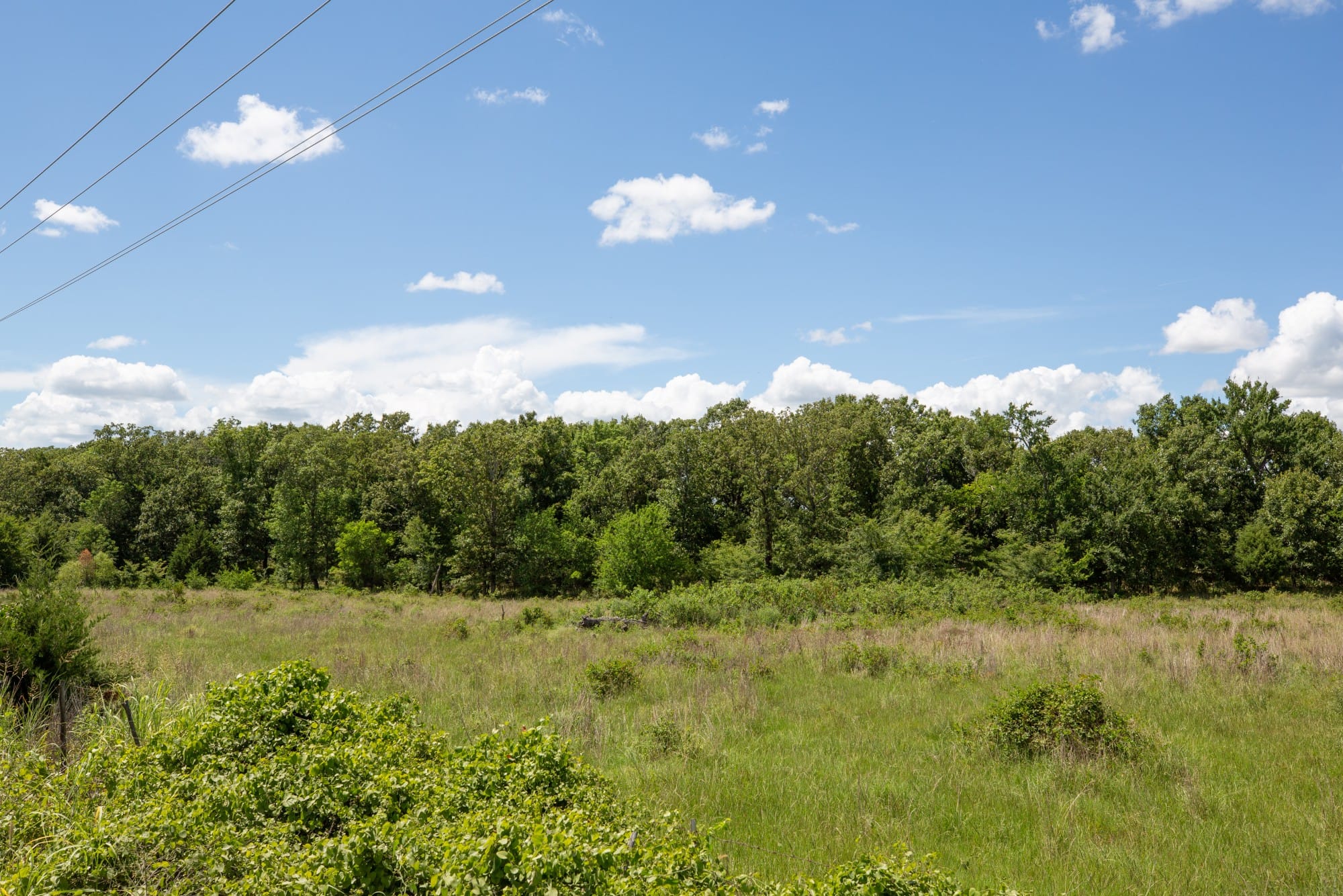 Paradise Valley Tract 23 photo 3