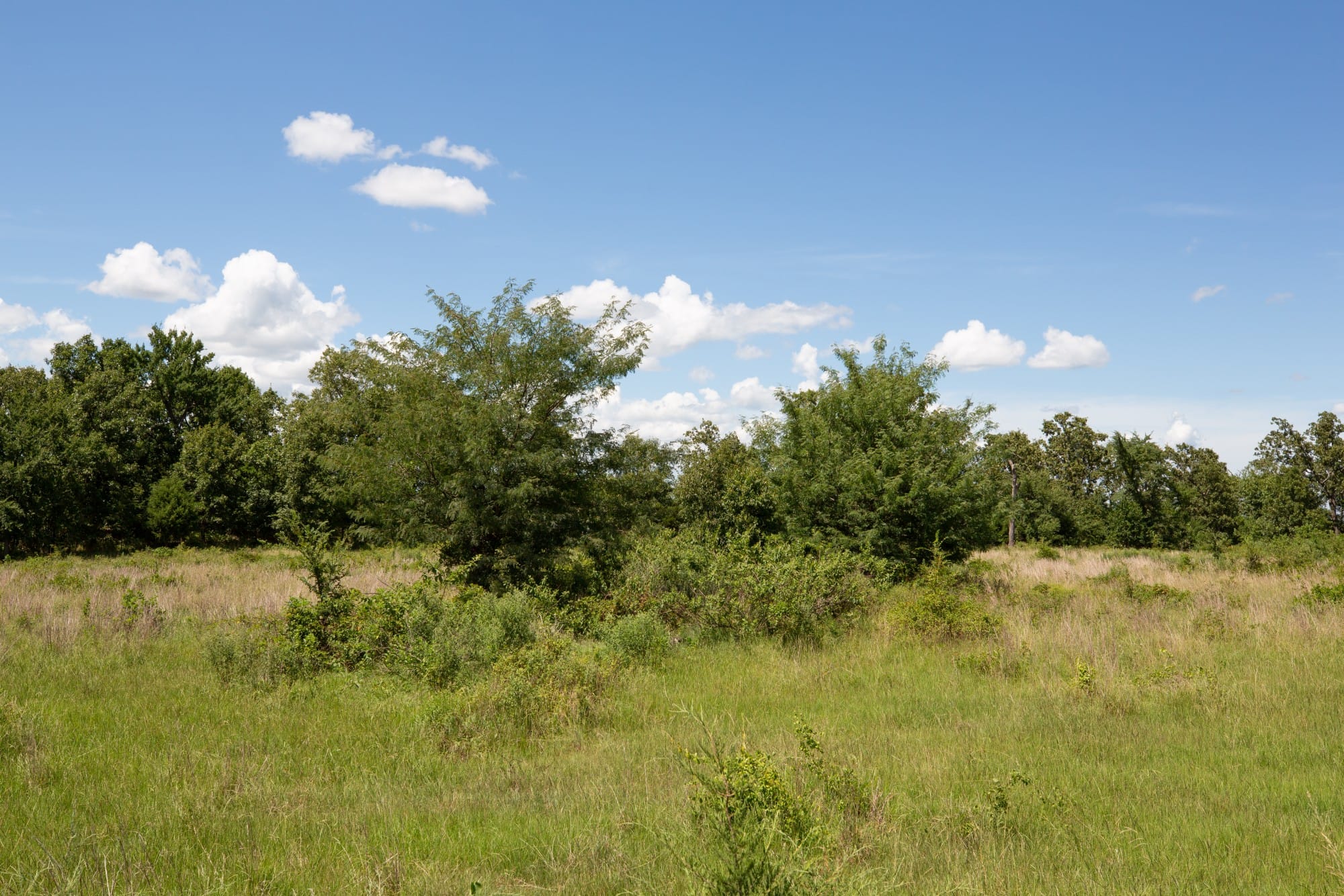 Paradise Valley Tract 23 photo 8