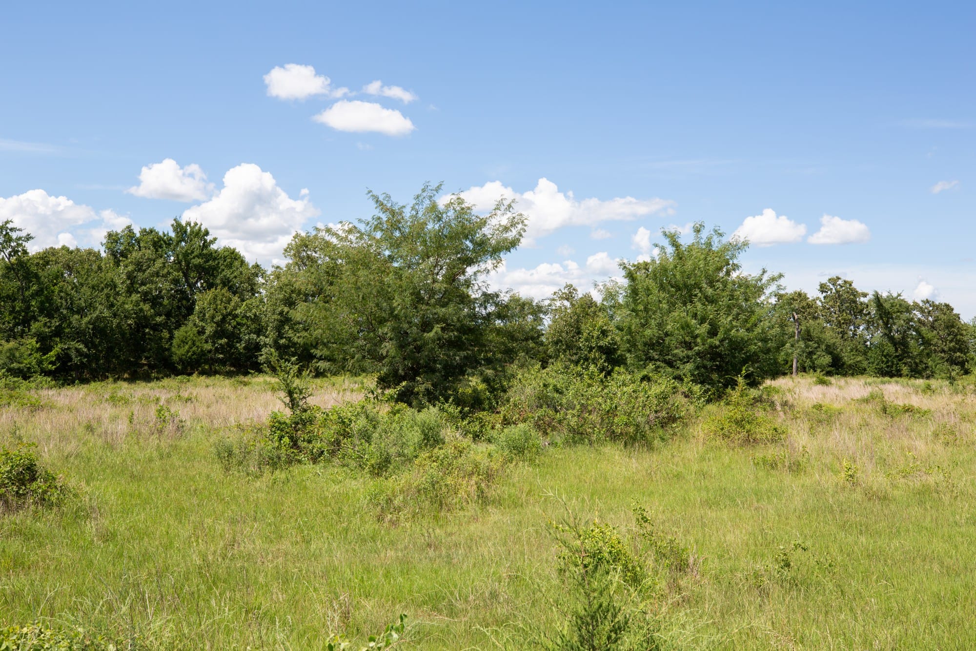 Paradise Valley Tract 23 photo 11