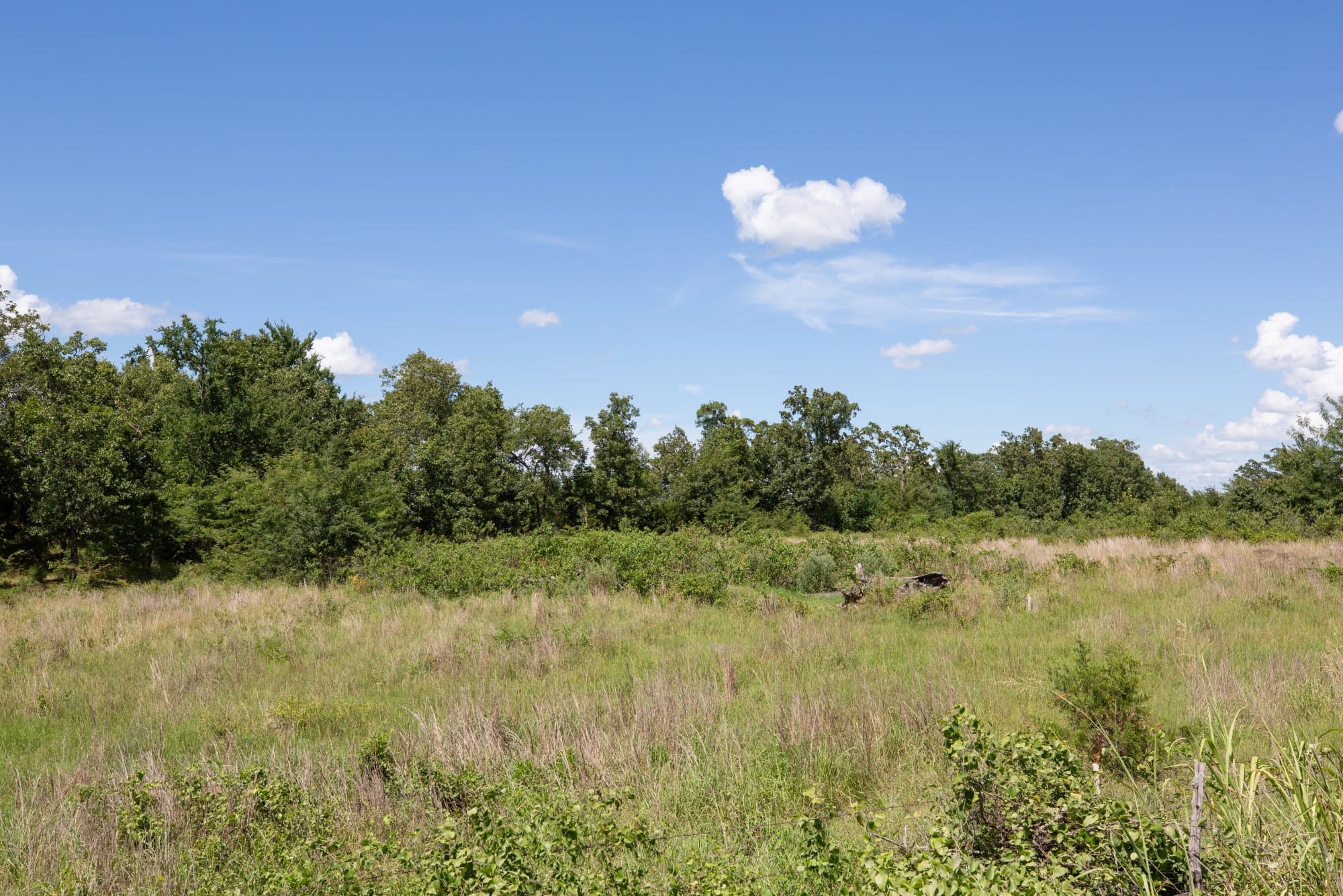 Paradise Valley Tract 23 photo 12