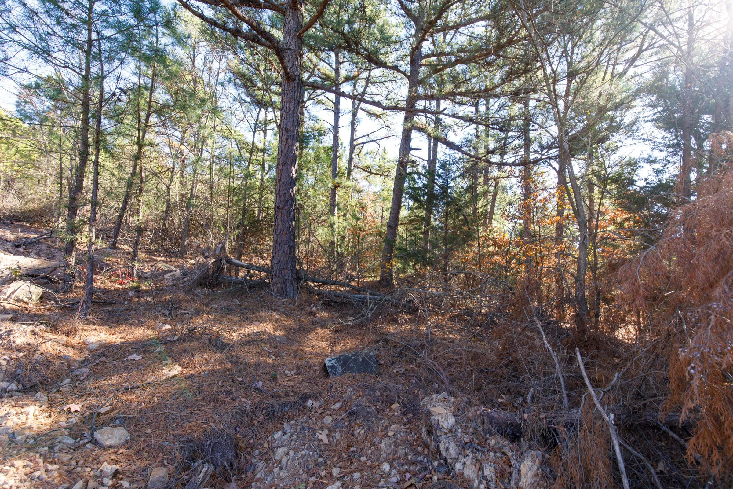 Stone Bridge Phase II Tract 125 photo 2