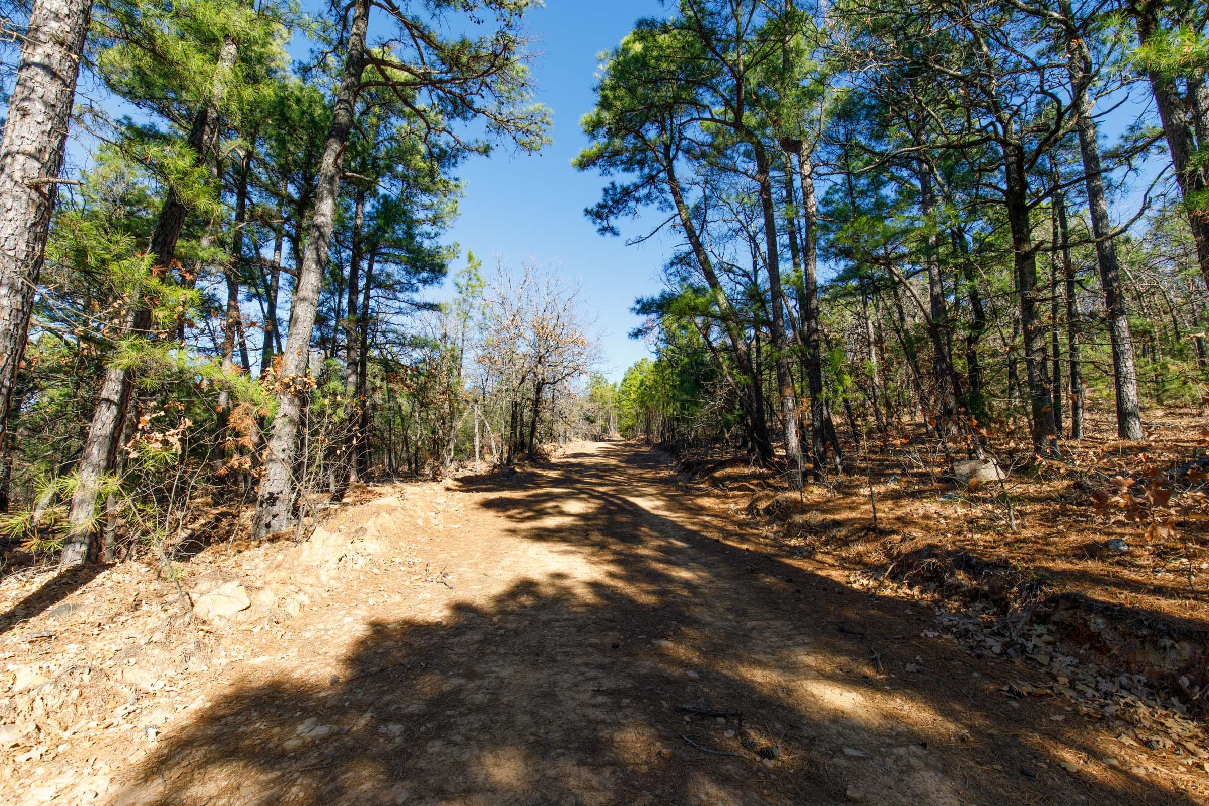 Stone Bridge Phase II Tract 125 photo 4