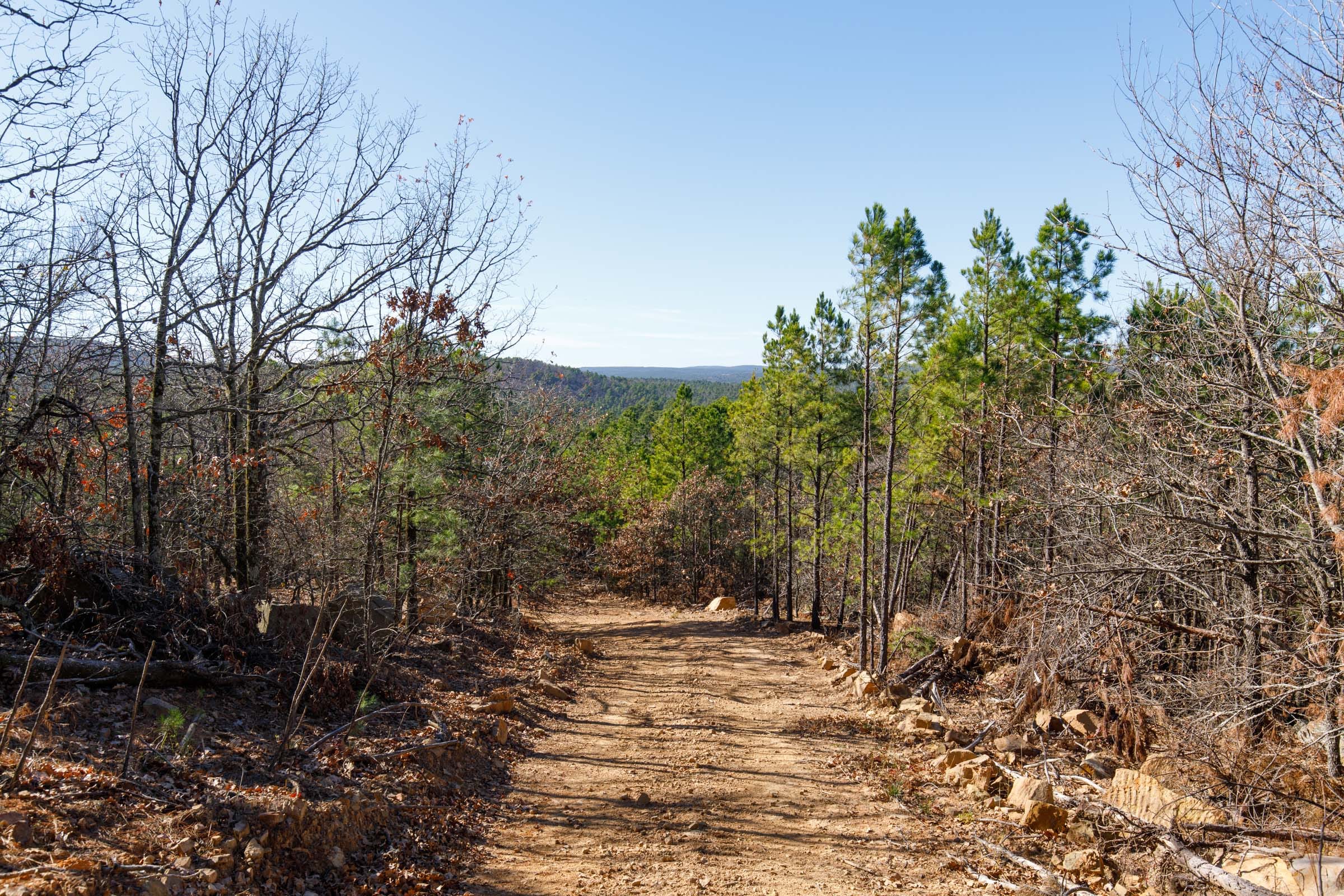 Stone Bridge Phase II Tract 125 photo 1