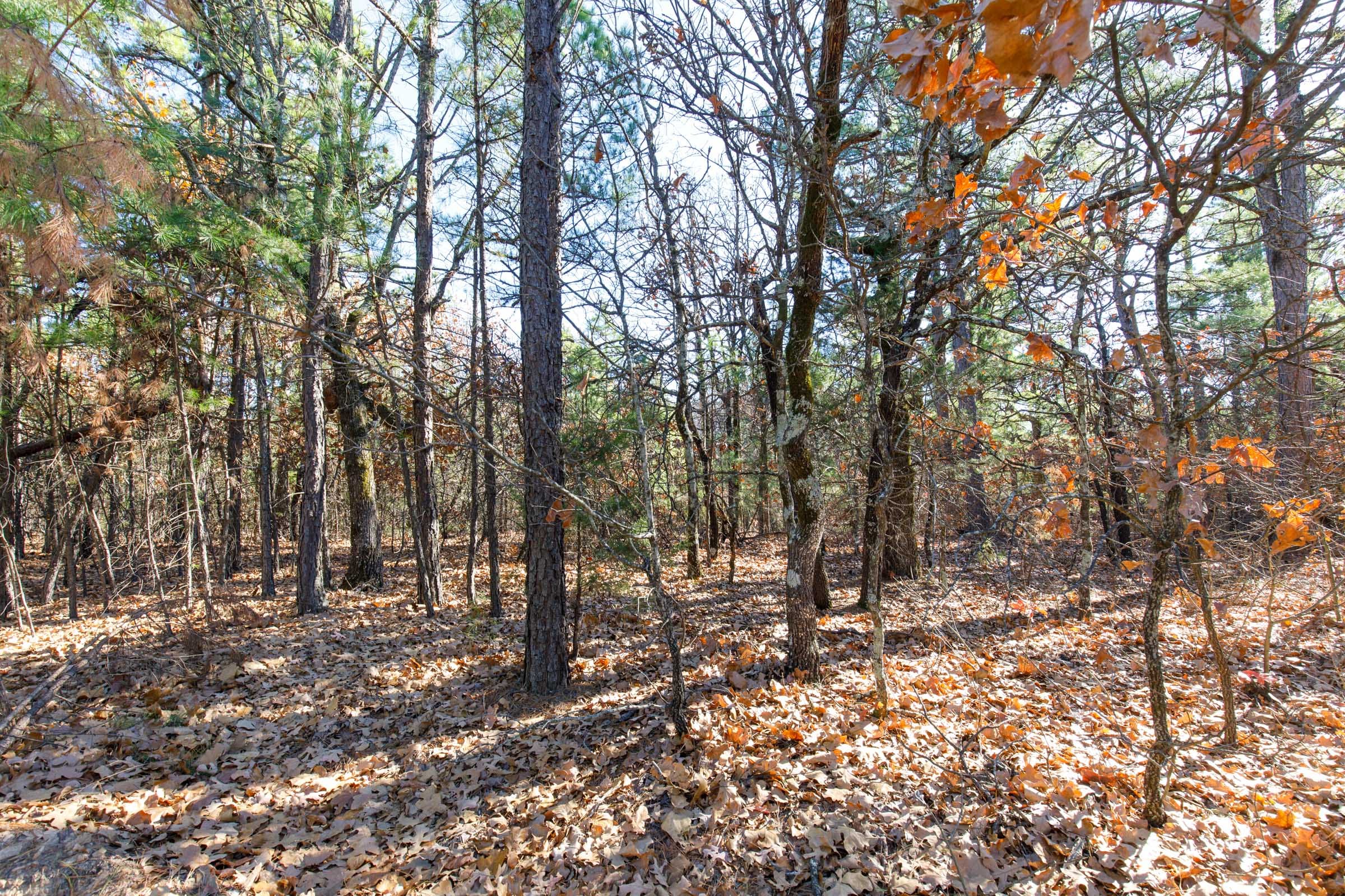 Stone Bridge Phase II Tract 125 photo 8