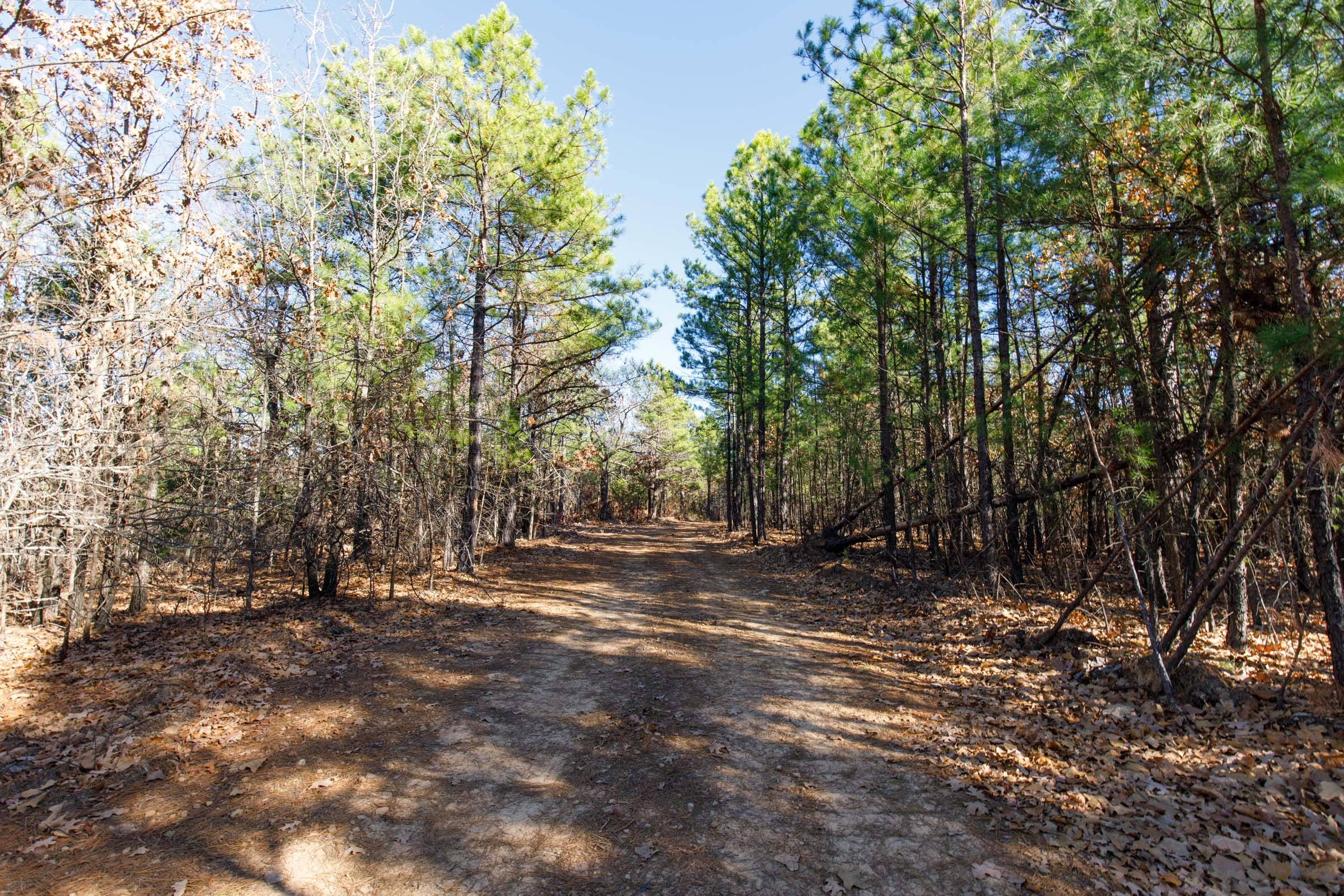 Stone Bridge Phase II Tract 125 photo 7