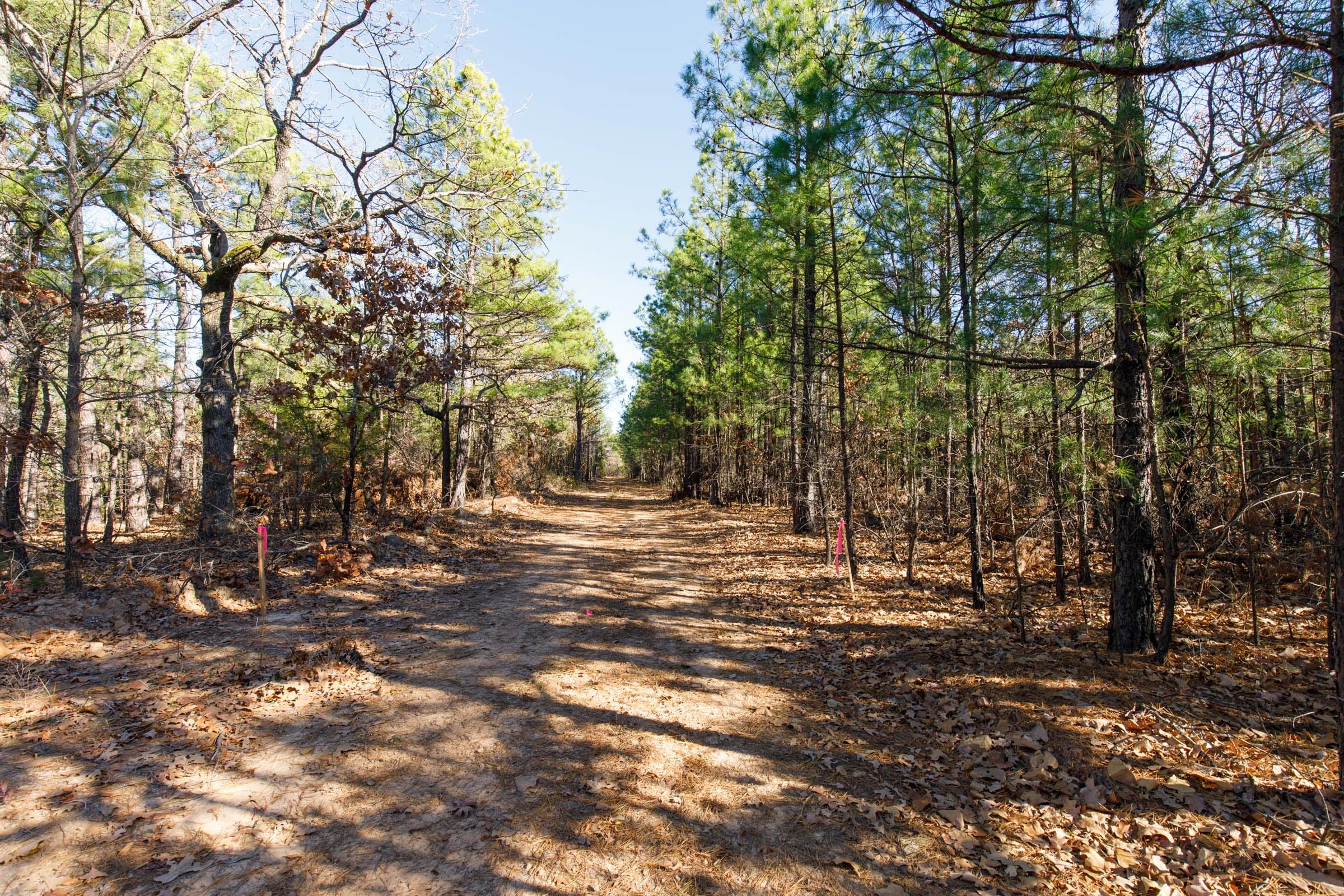 Stone Bridge Phase II Tract 125 photo 9