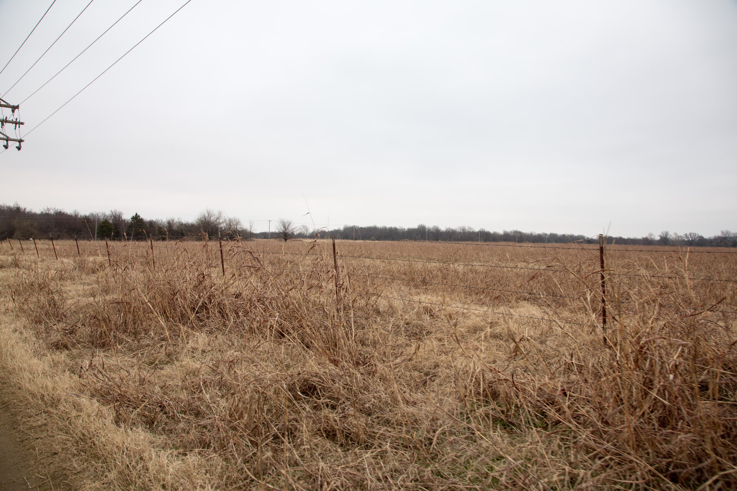 Canadian Plains Tract 38 photo 2