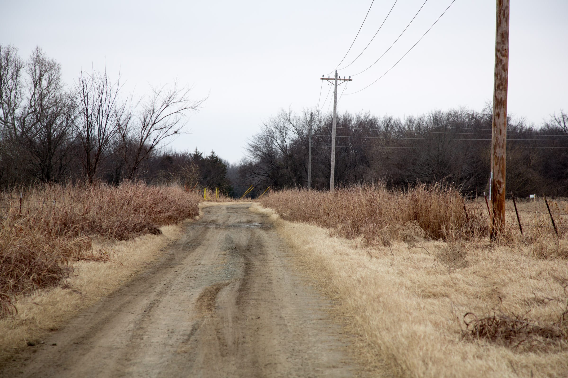 Canadian Plains Tract 38 photo 1