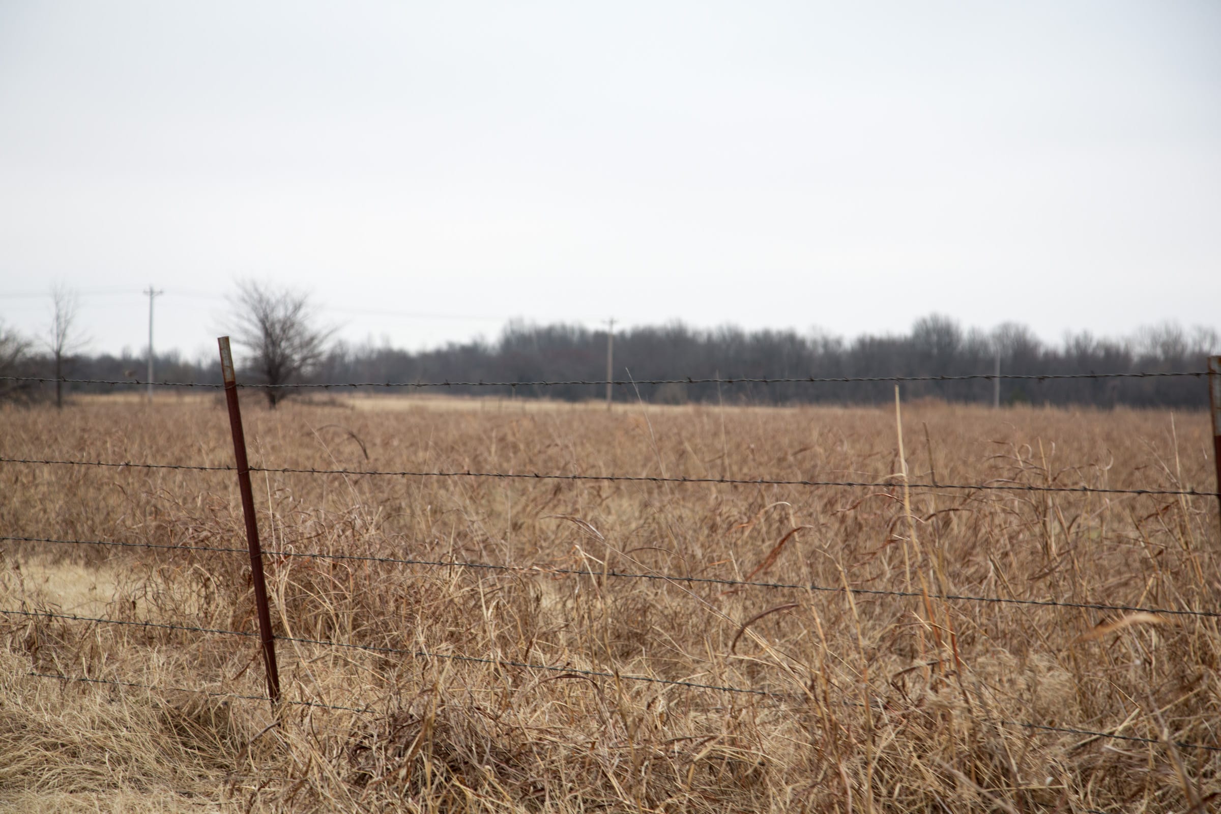 Canadian Plains Tract 38 photo 3