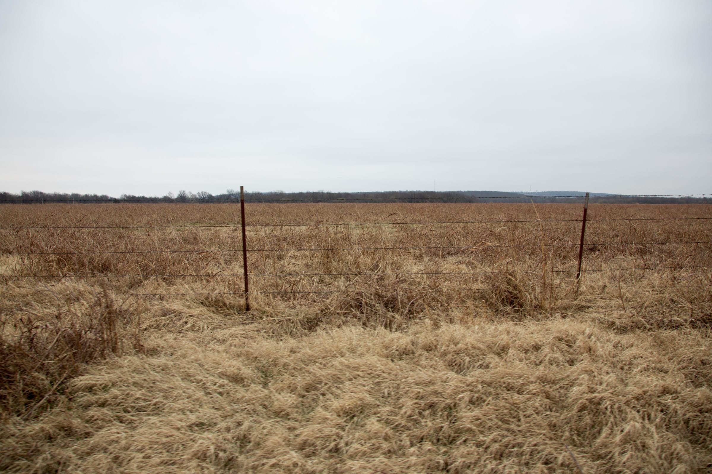 Canadian Plains Tract 38 photo 4