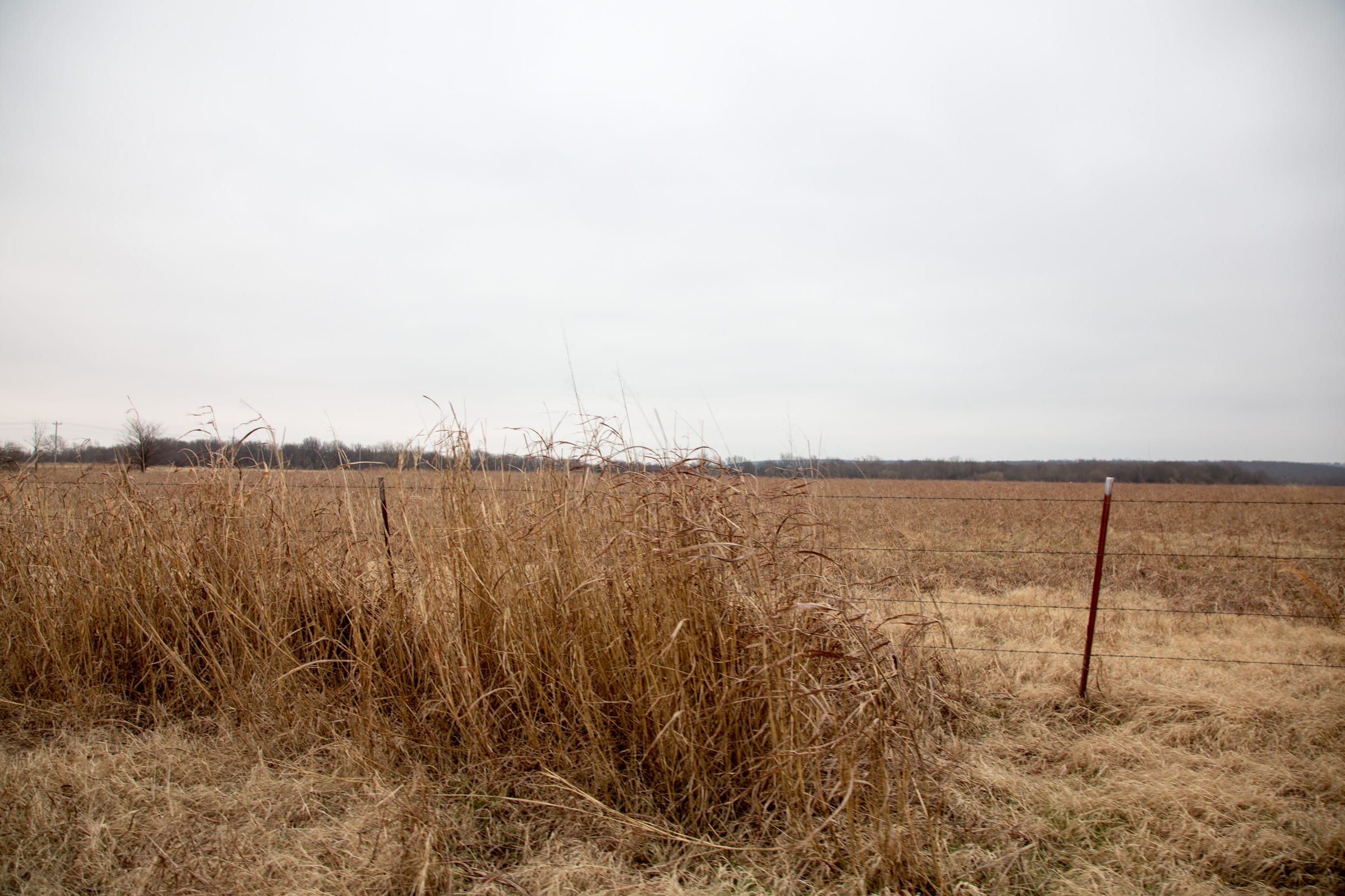 Canadian Plains Tract 38 photo 5