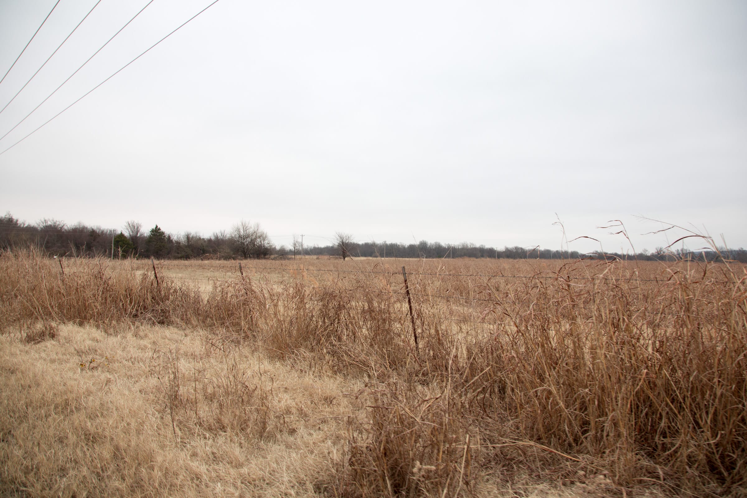 Canadian Plains Tract 38 photo 6
