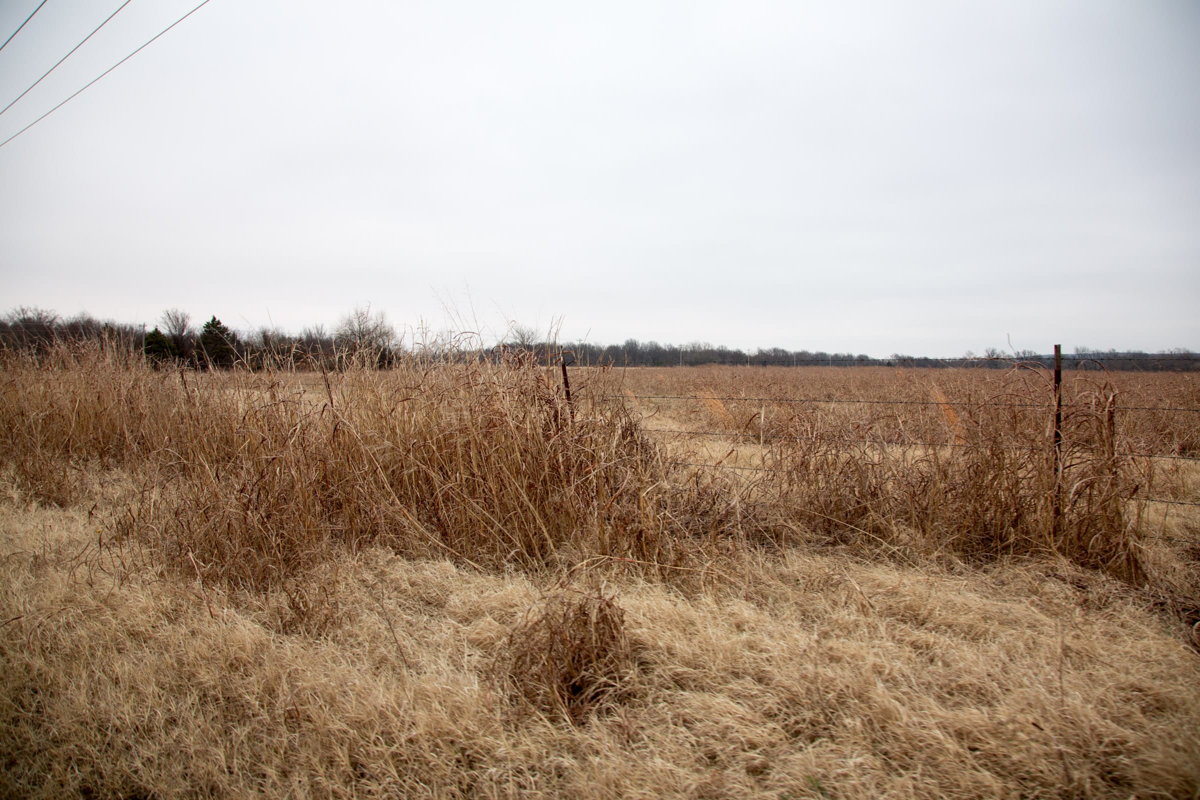 Canadian Plains Tract 38 photo 7