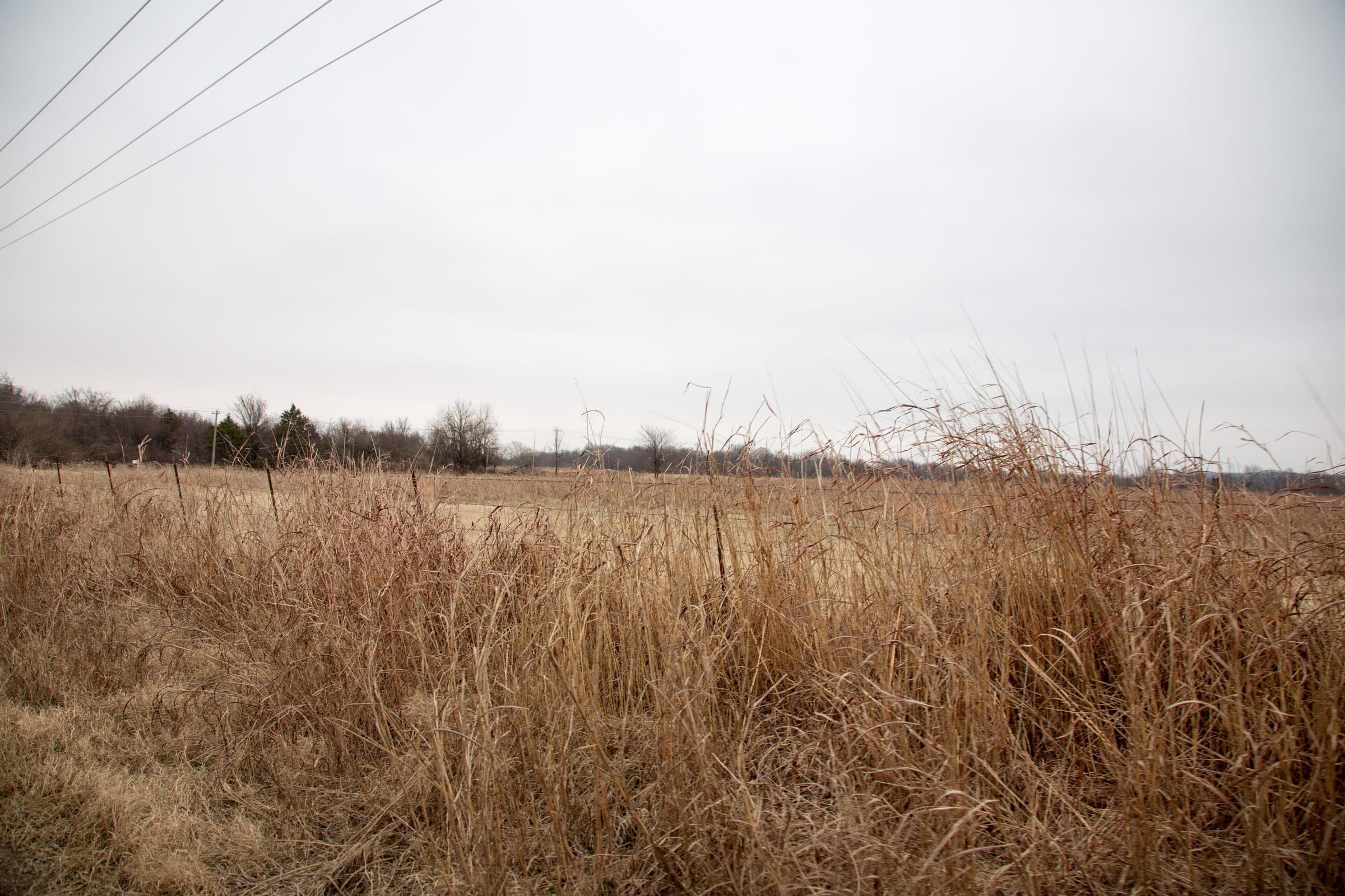 Canadian Plains Tract 38 photo 8