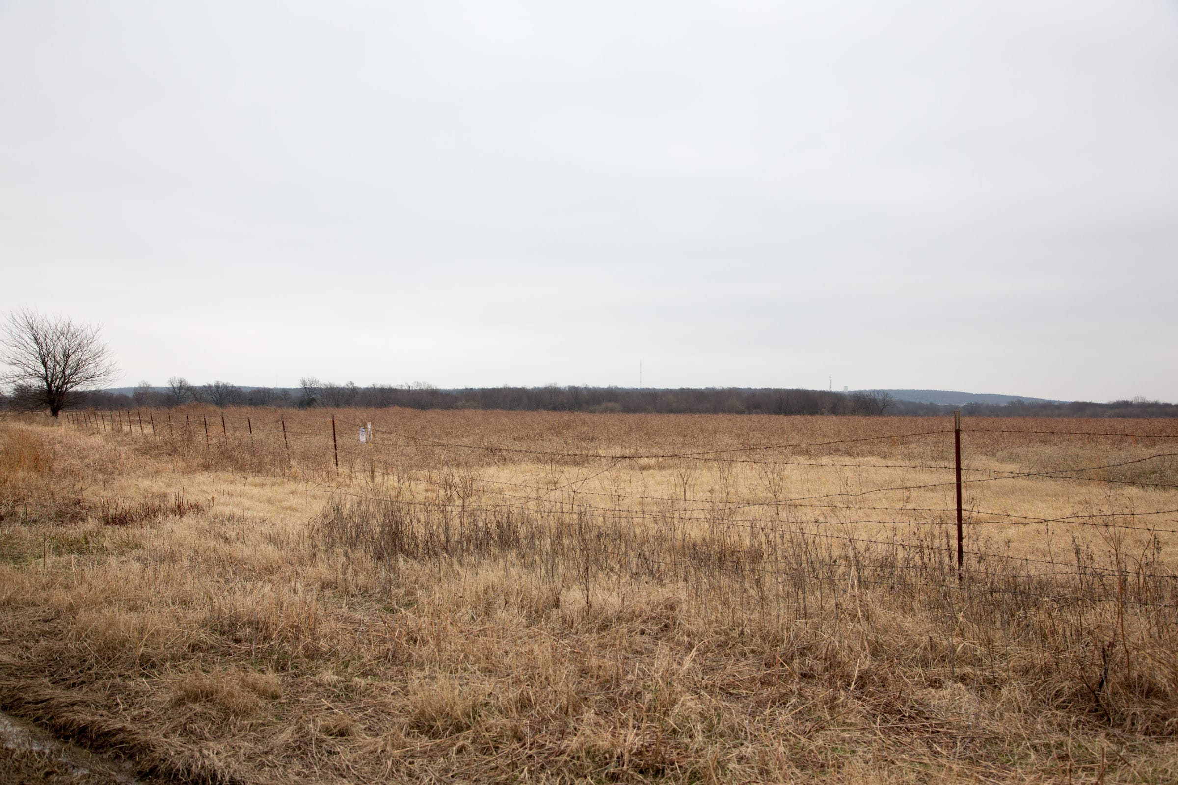 Canadian Plains Tract 38 photo 9