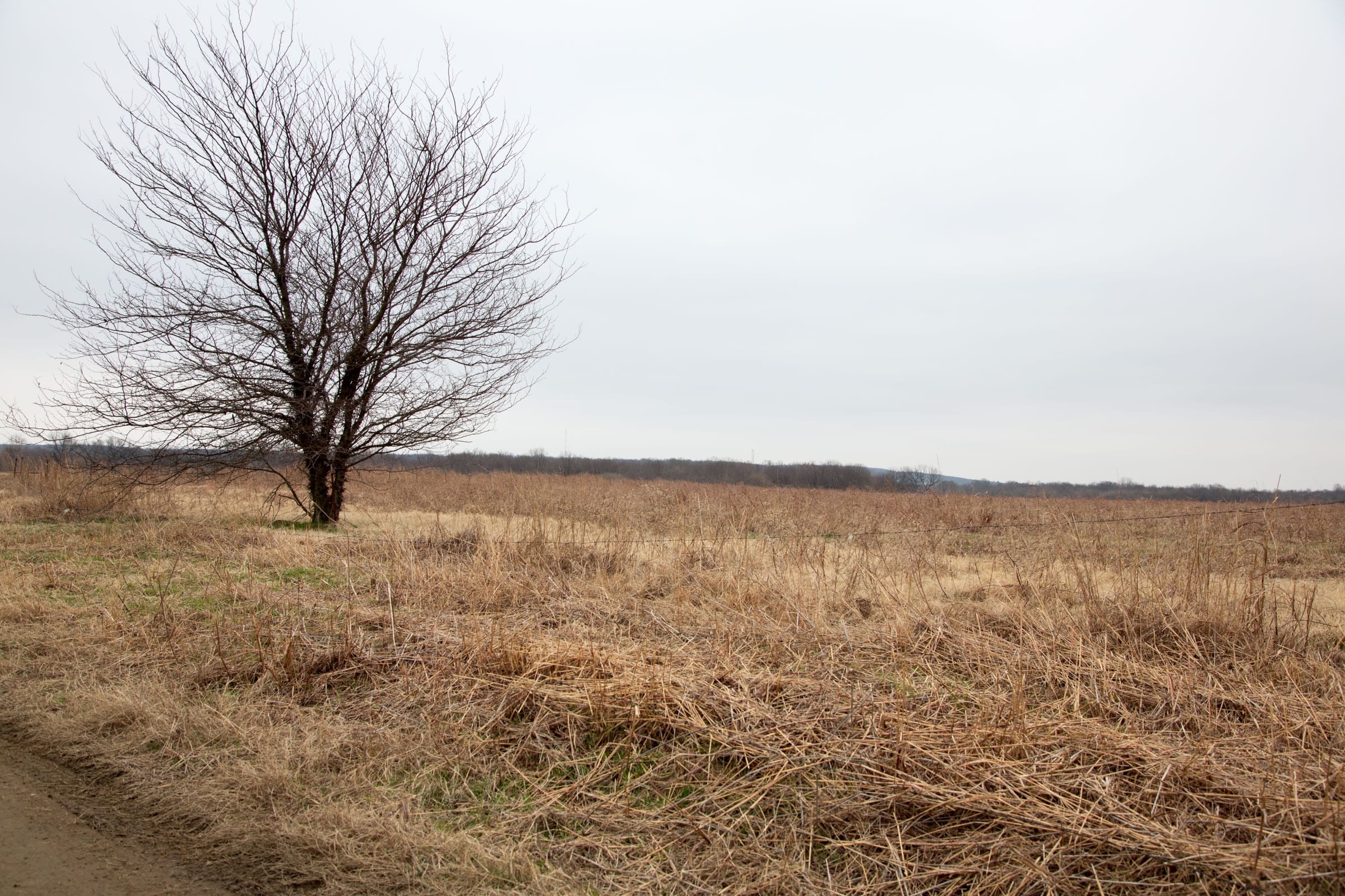 Canadian Plains Tract 38 photo 10