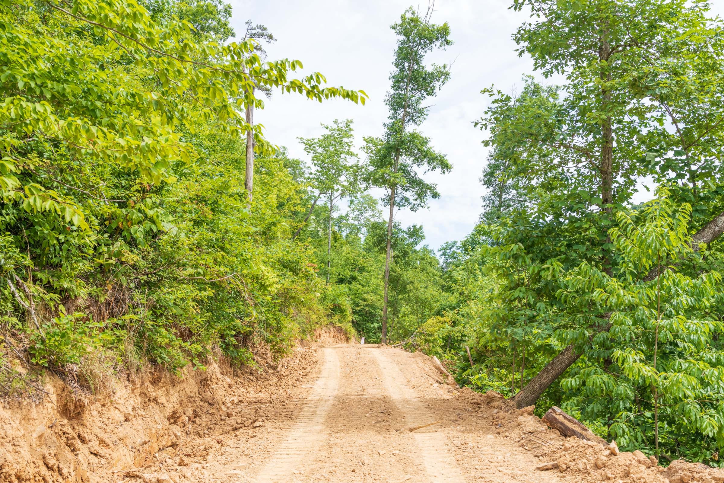 River’s Edge Tract 32 photo 1