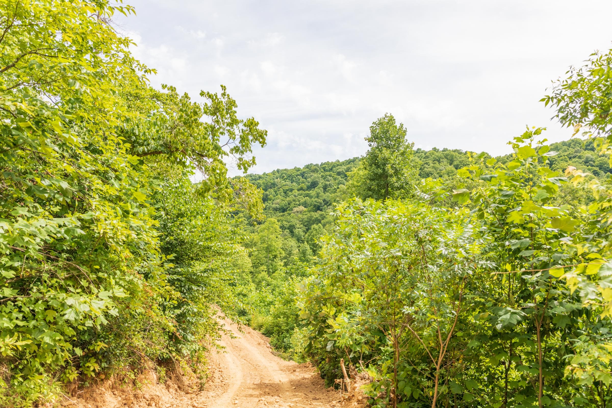 River’s Edge Tract 32 photo 3