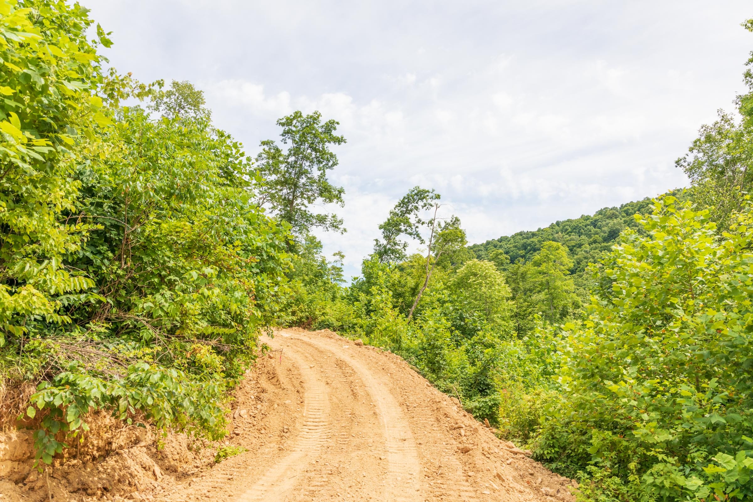 River’s Edge Tract 32 photo 4