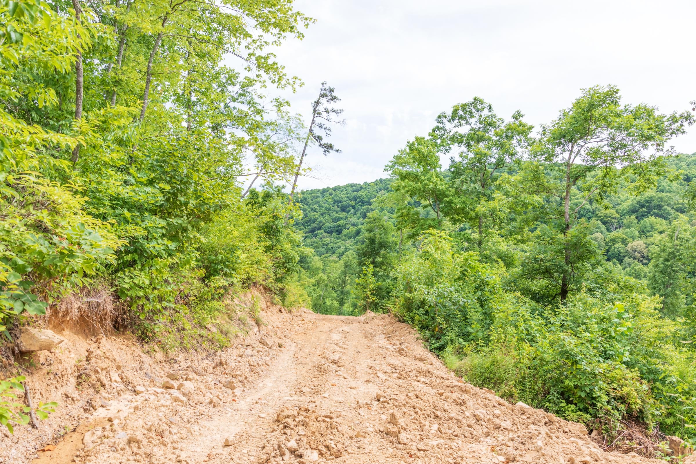 River’s Edge Tract 32 photo 5
