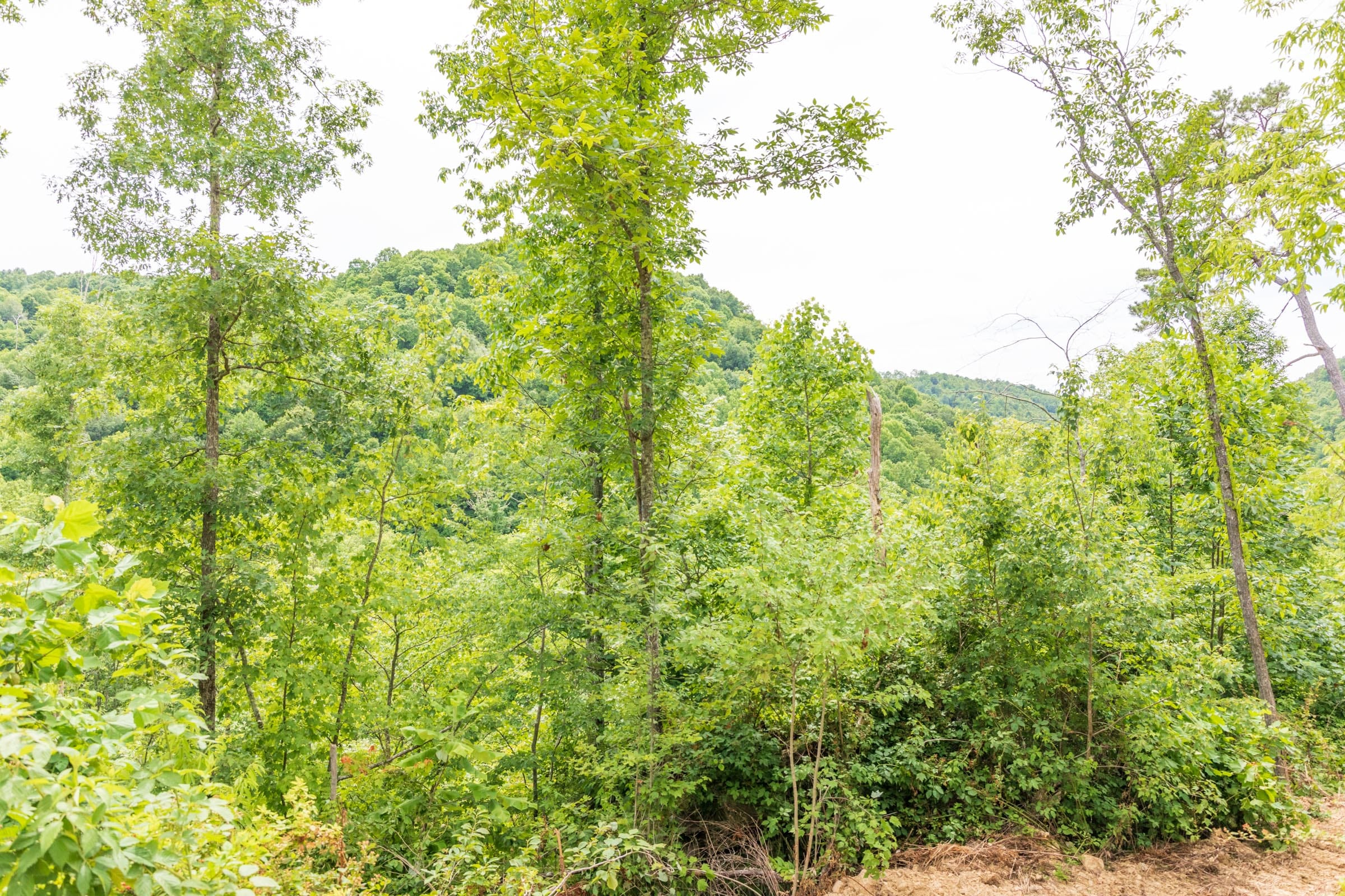 River’s Edge Tract 32 photo 6