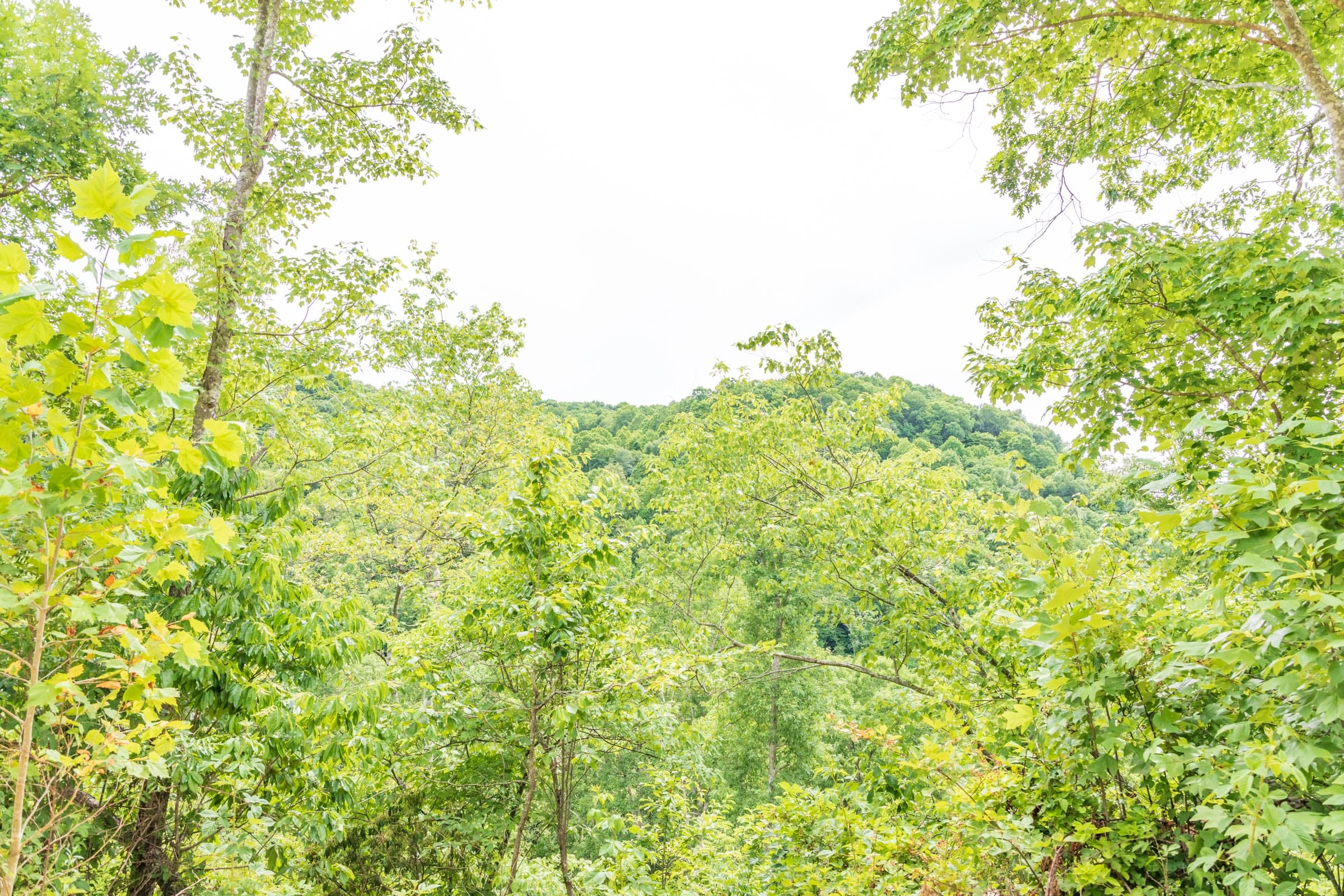 River’s Edge Tract 32 photo 7