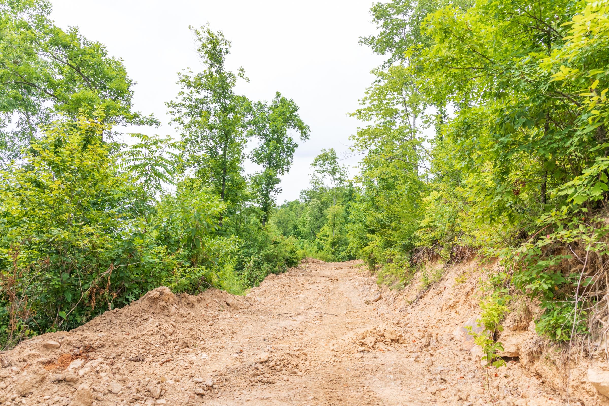 River’s Edge Tract 32 photo 8