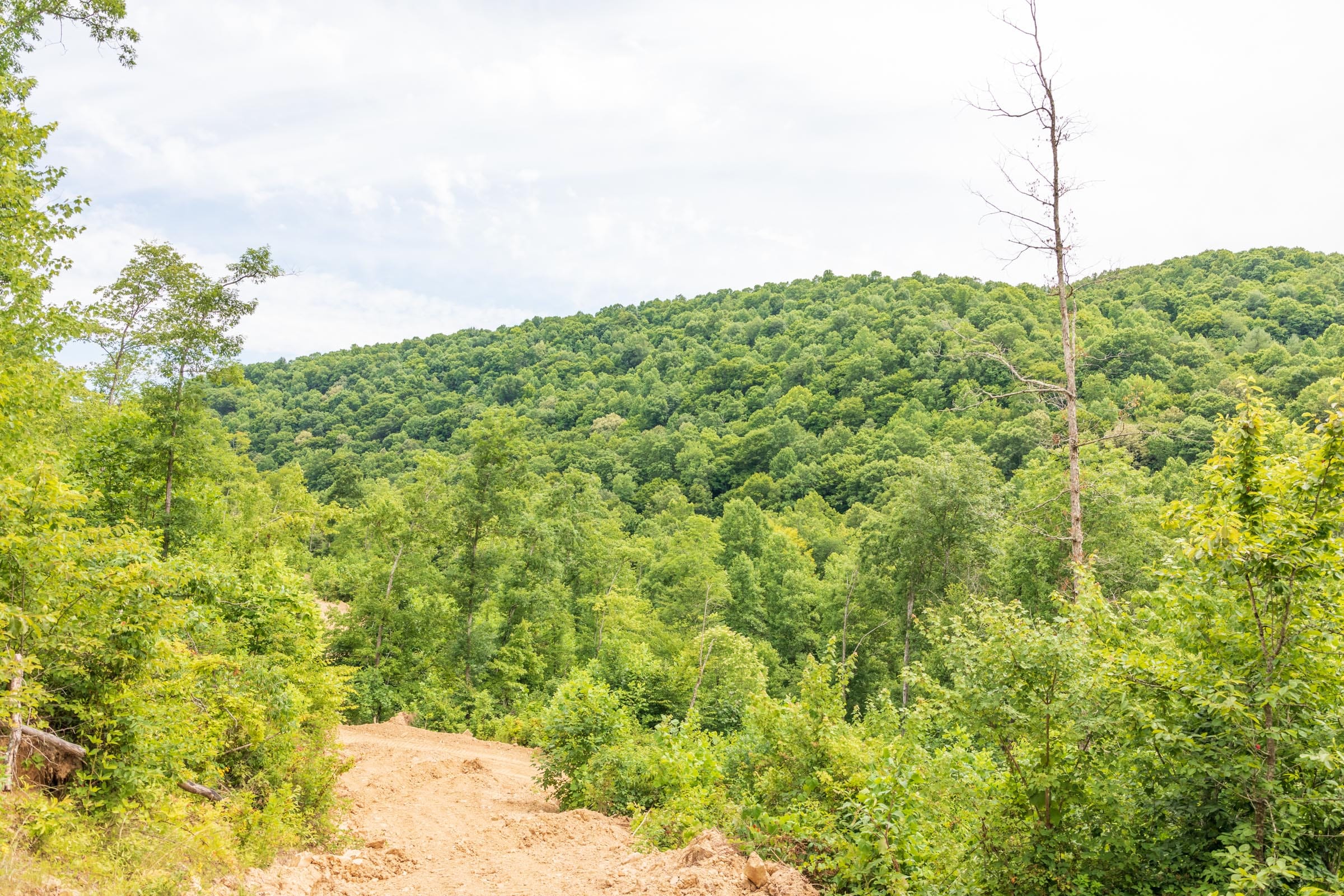 River’s Edge Tract 32 photo 9