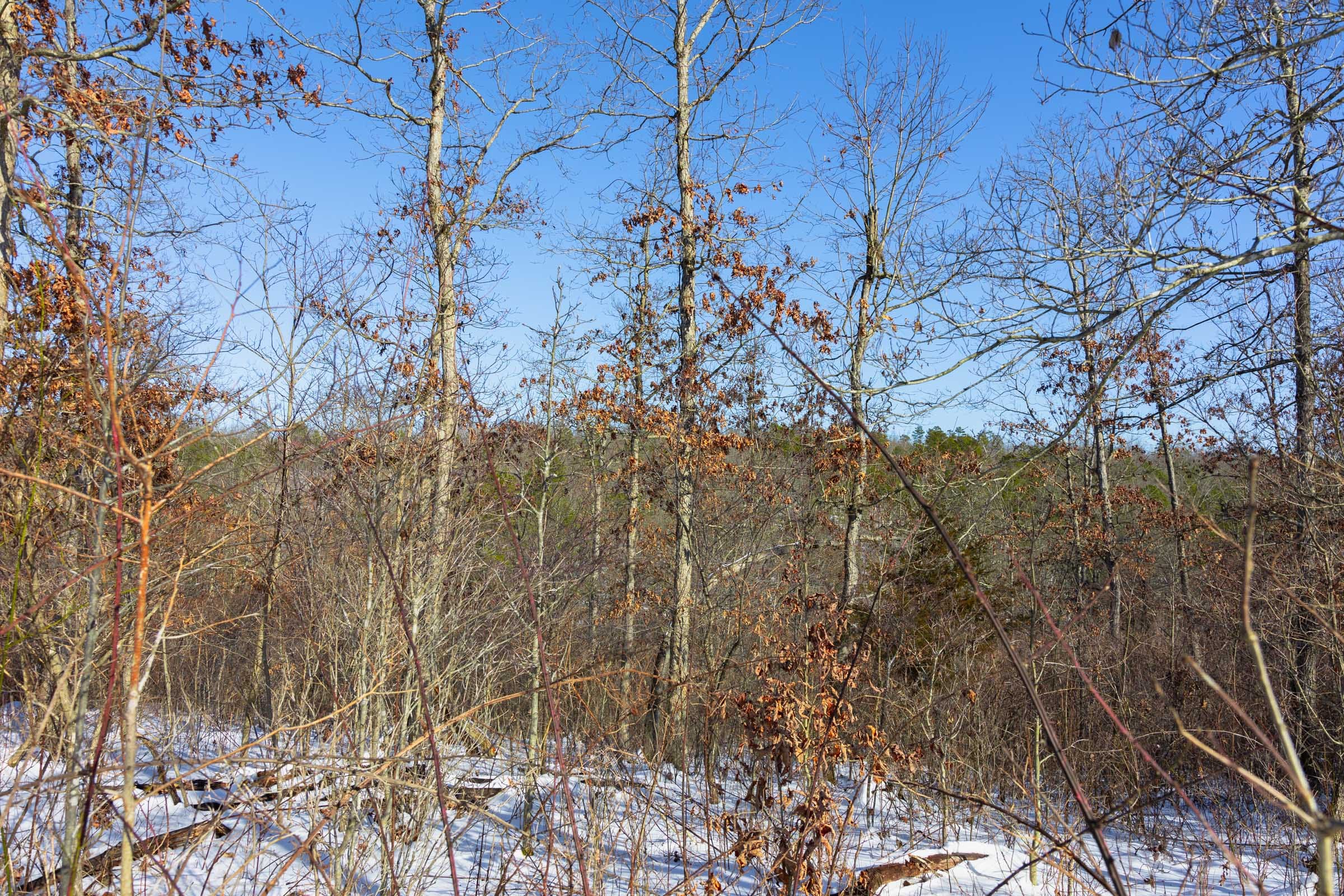 Sleepy Hollow Phase I Tract 20 photo 10