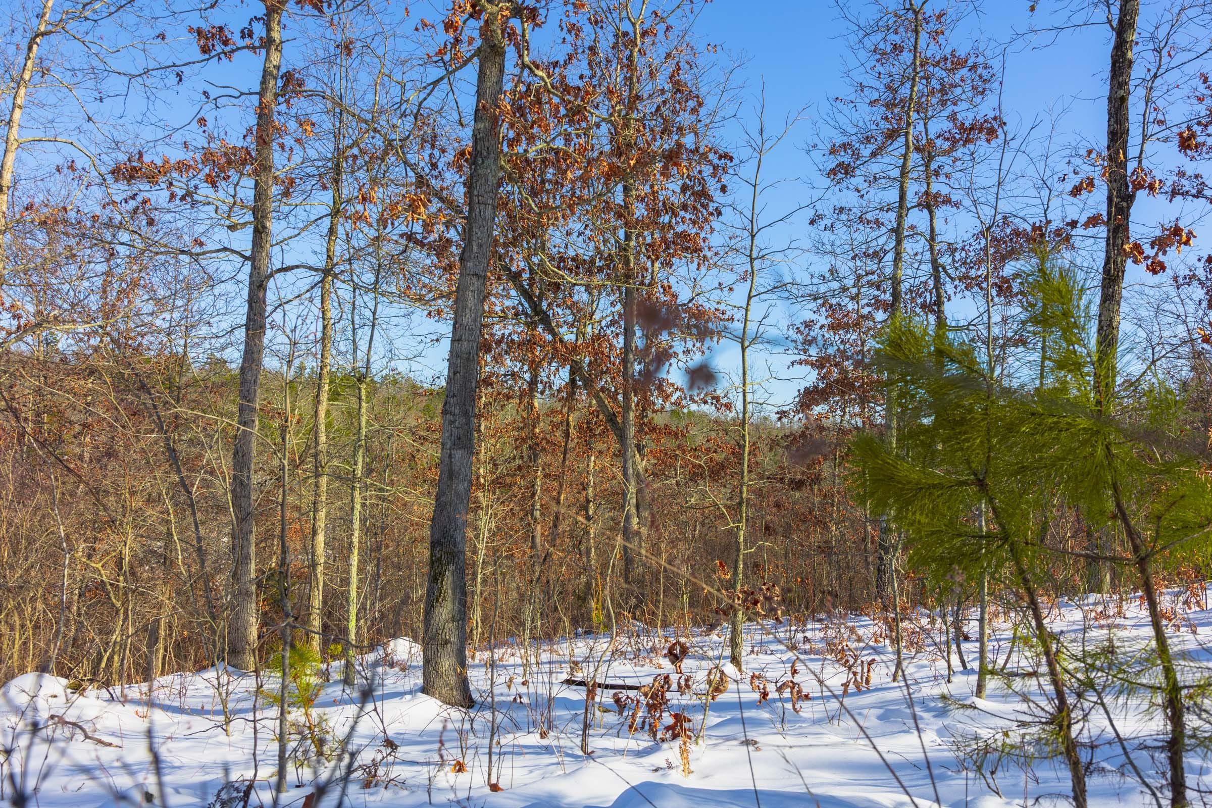 Sleepy Hollow Phase I Tract 20 photo 7