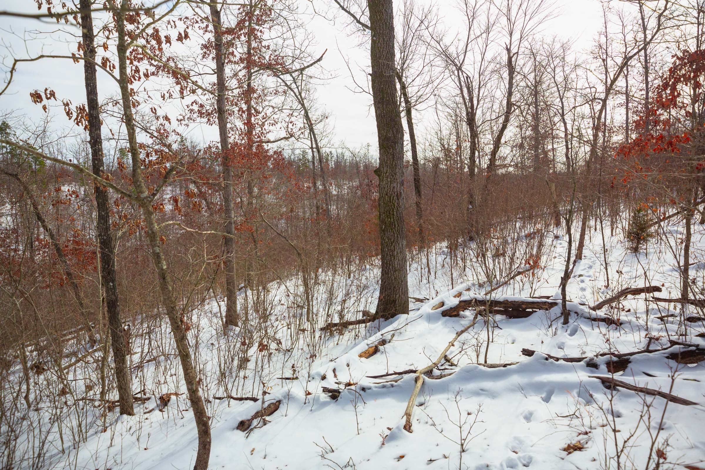Sleepy Hollow Phase I Tract 20 photo 9