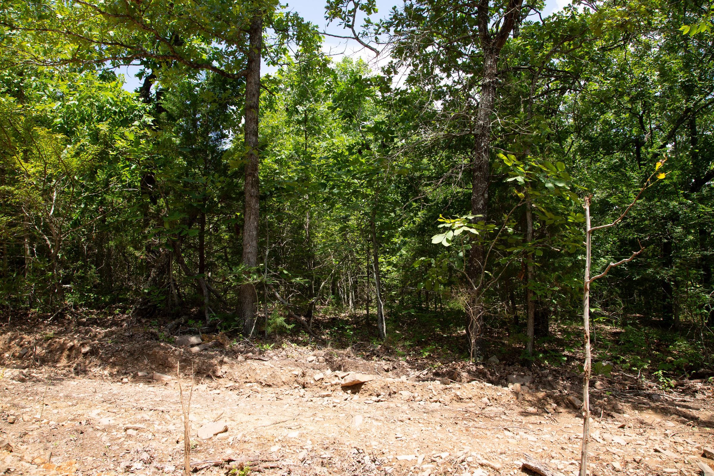 Tyler Stone Ranch Tract 34 photo 4