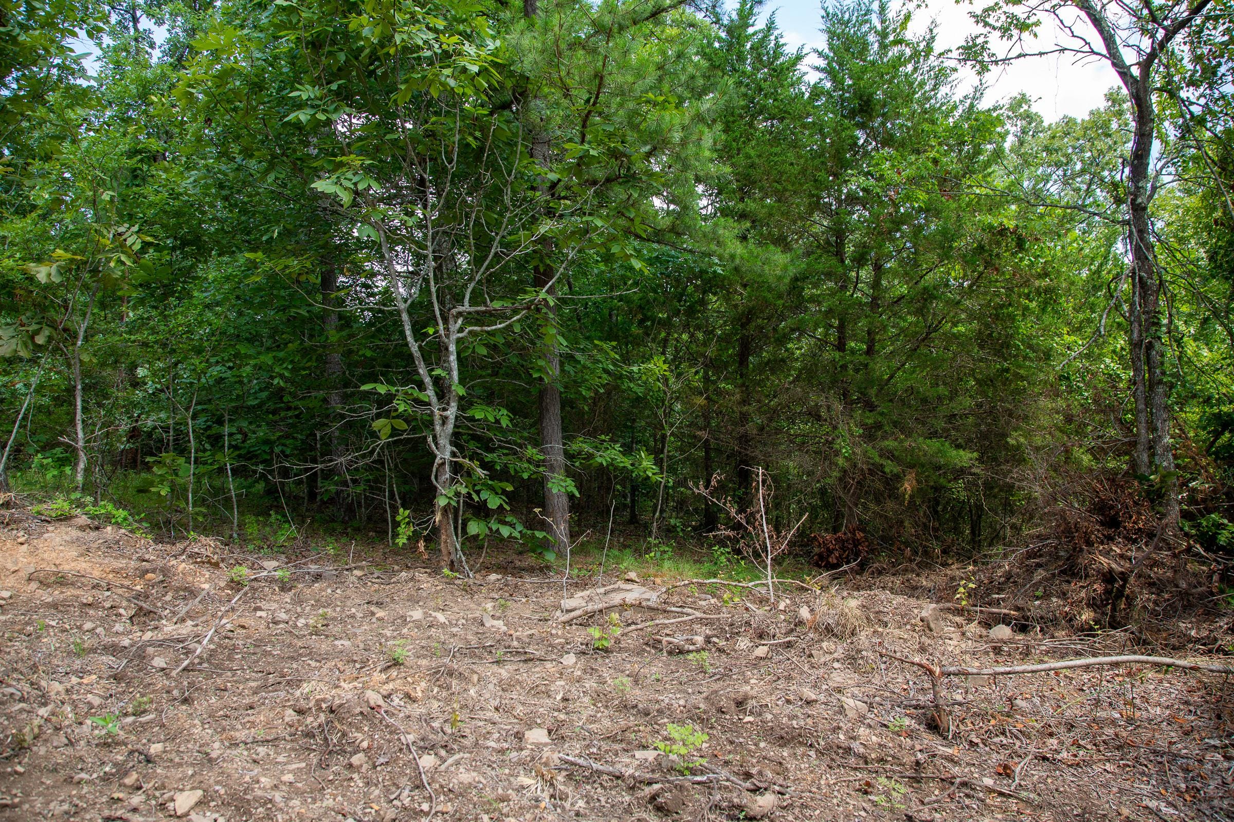 Tyler Stone Ranch Tract 34 photo 6