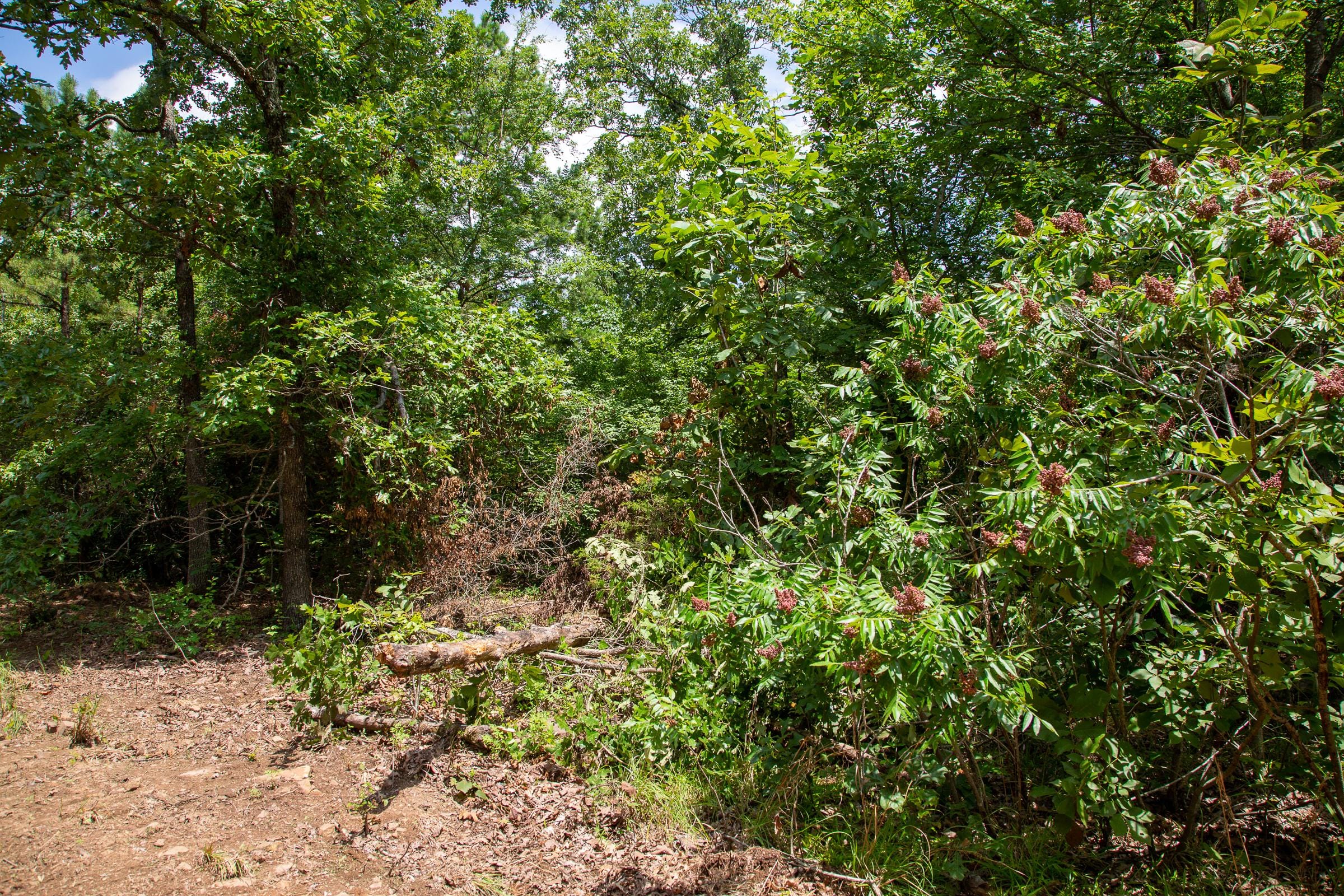 Tyler Stone Ranch Tract 34 photo 2
