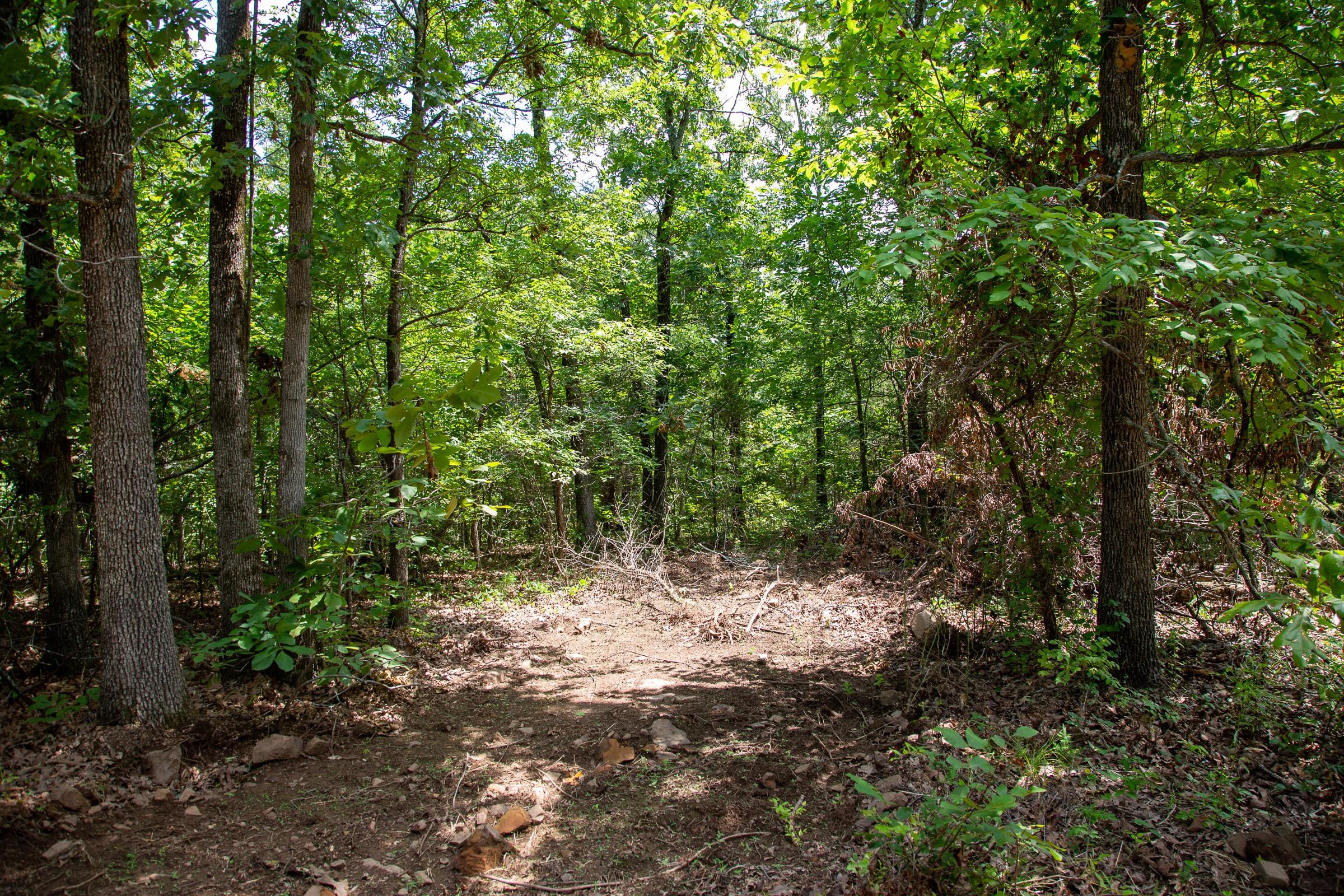 Tyler Stone Ranch Tract 34 photo 3
