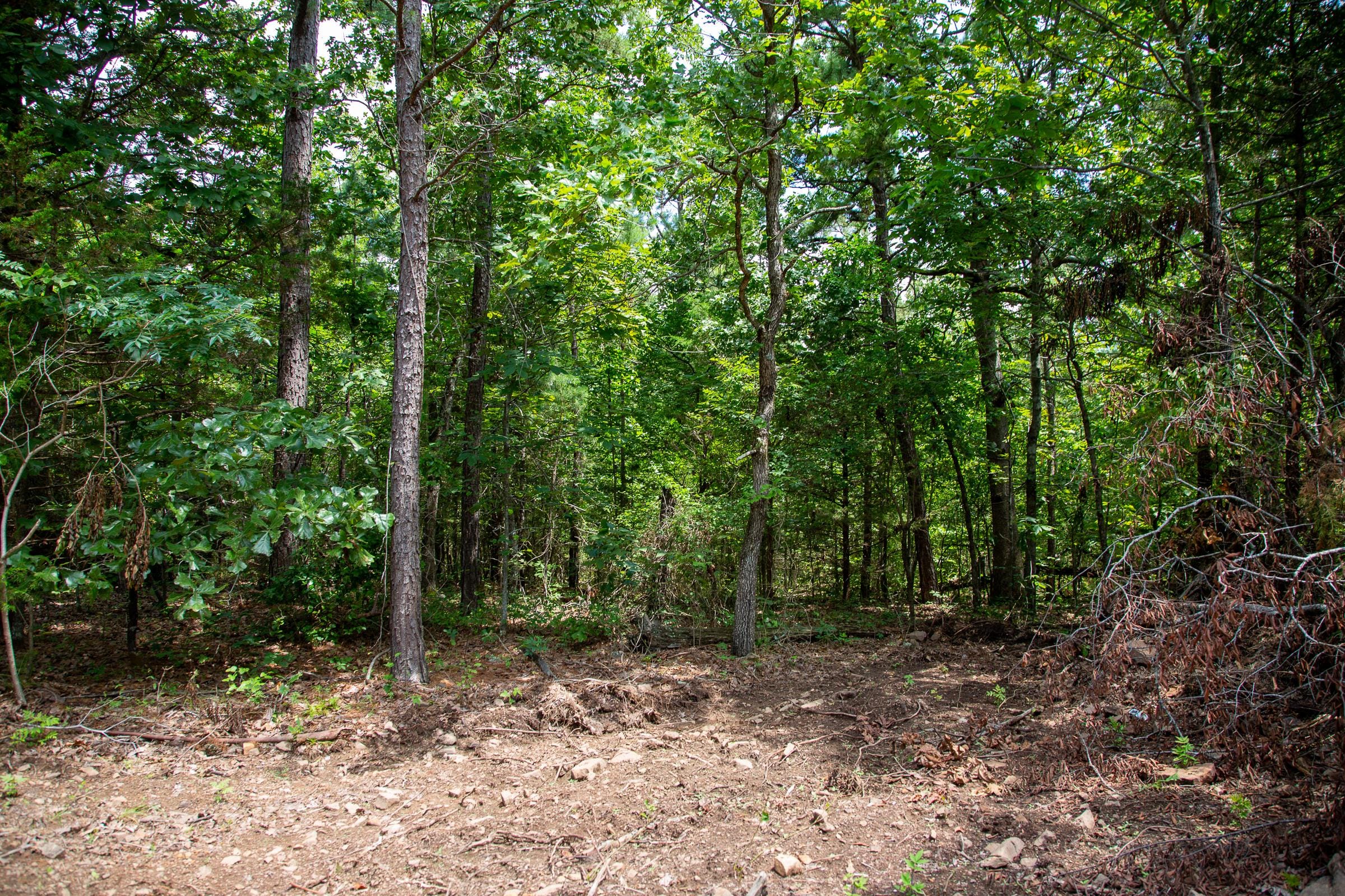 Tyler Stone Ranch Tract 34 photo 8