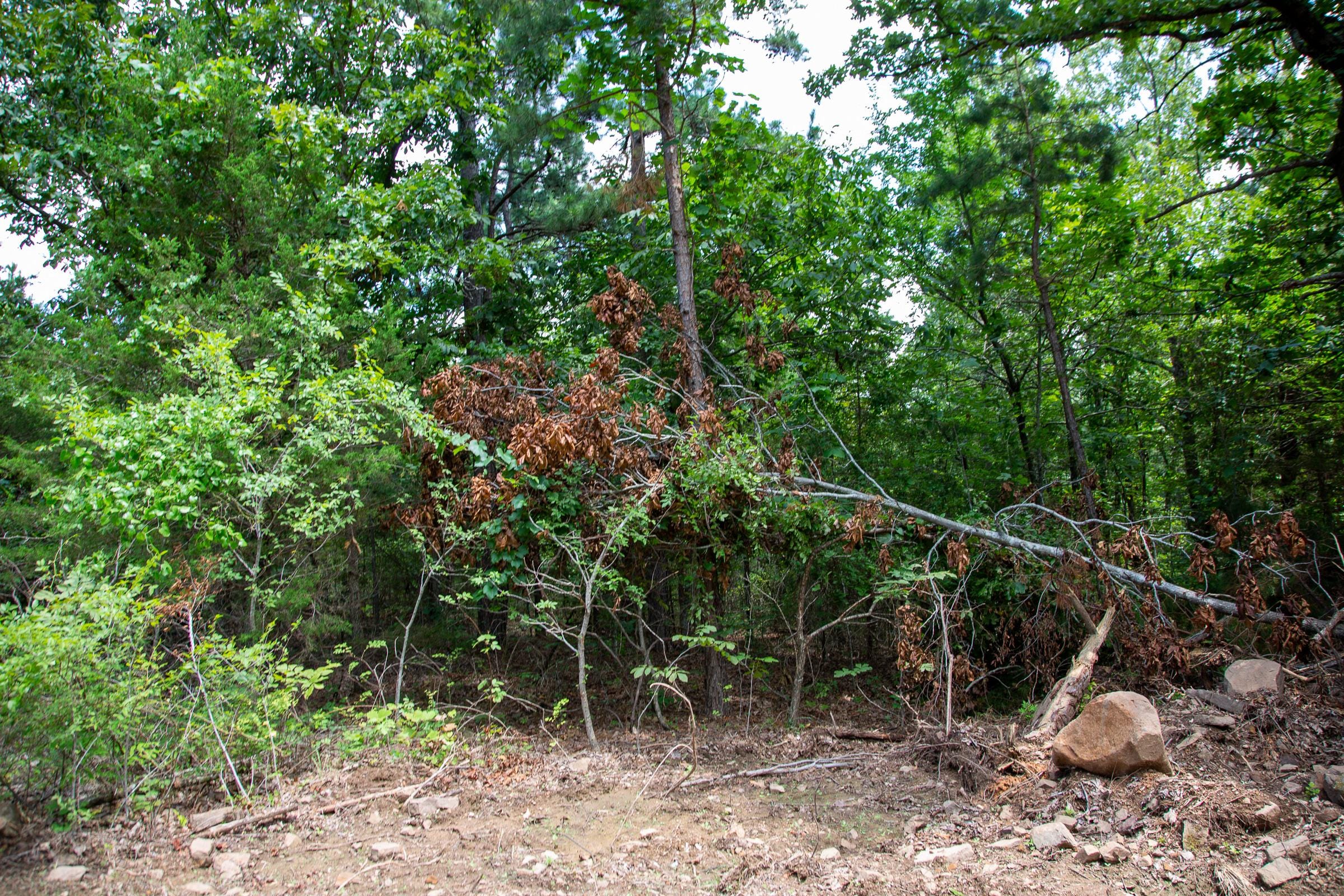 Tyler Stone Ranch Tract 34 photo 10