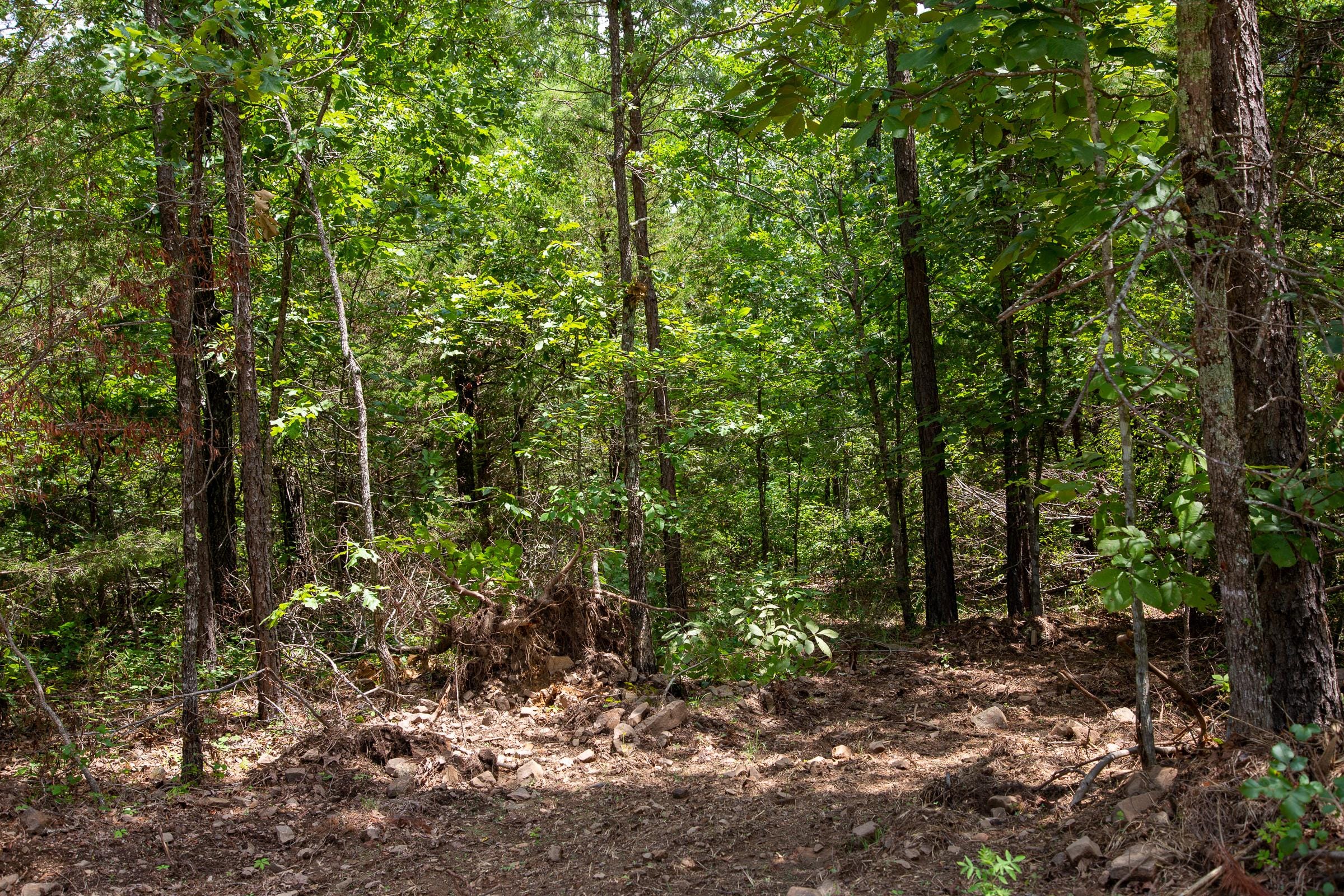 Tyler Stone Ranch Tract 34 photo 11